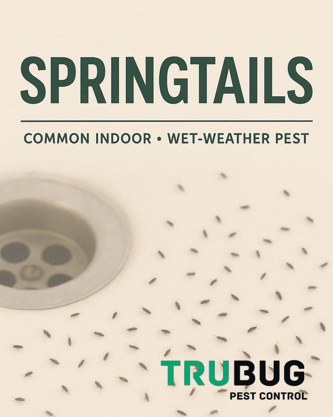 TruBug Pest Control