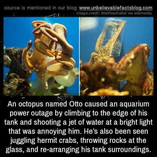 Strange Fact of the Day... - The IL/WI stateline PAPER