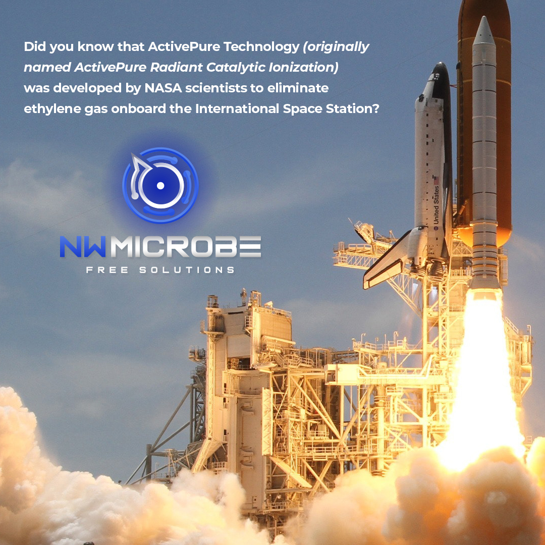 NW Microbe Free Solutions