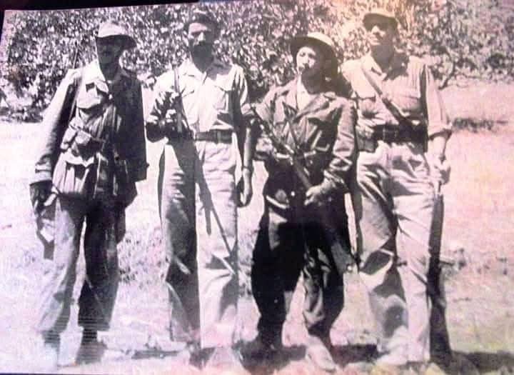 20-1956