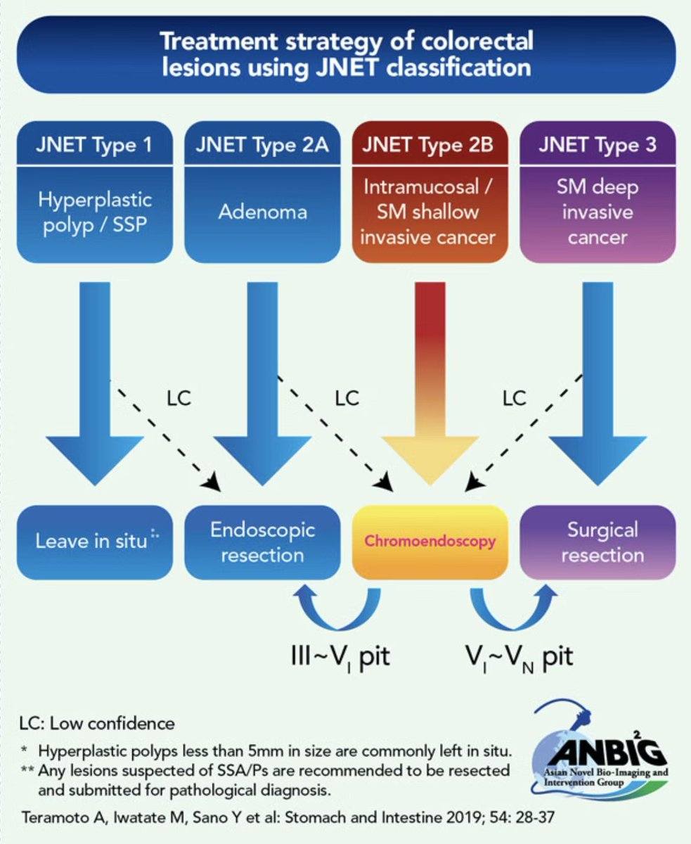 EndoCollab - Understanding Colorectal Lesions: A Visual Guide This ...