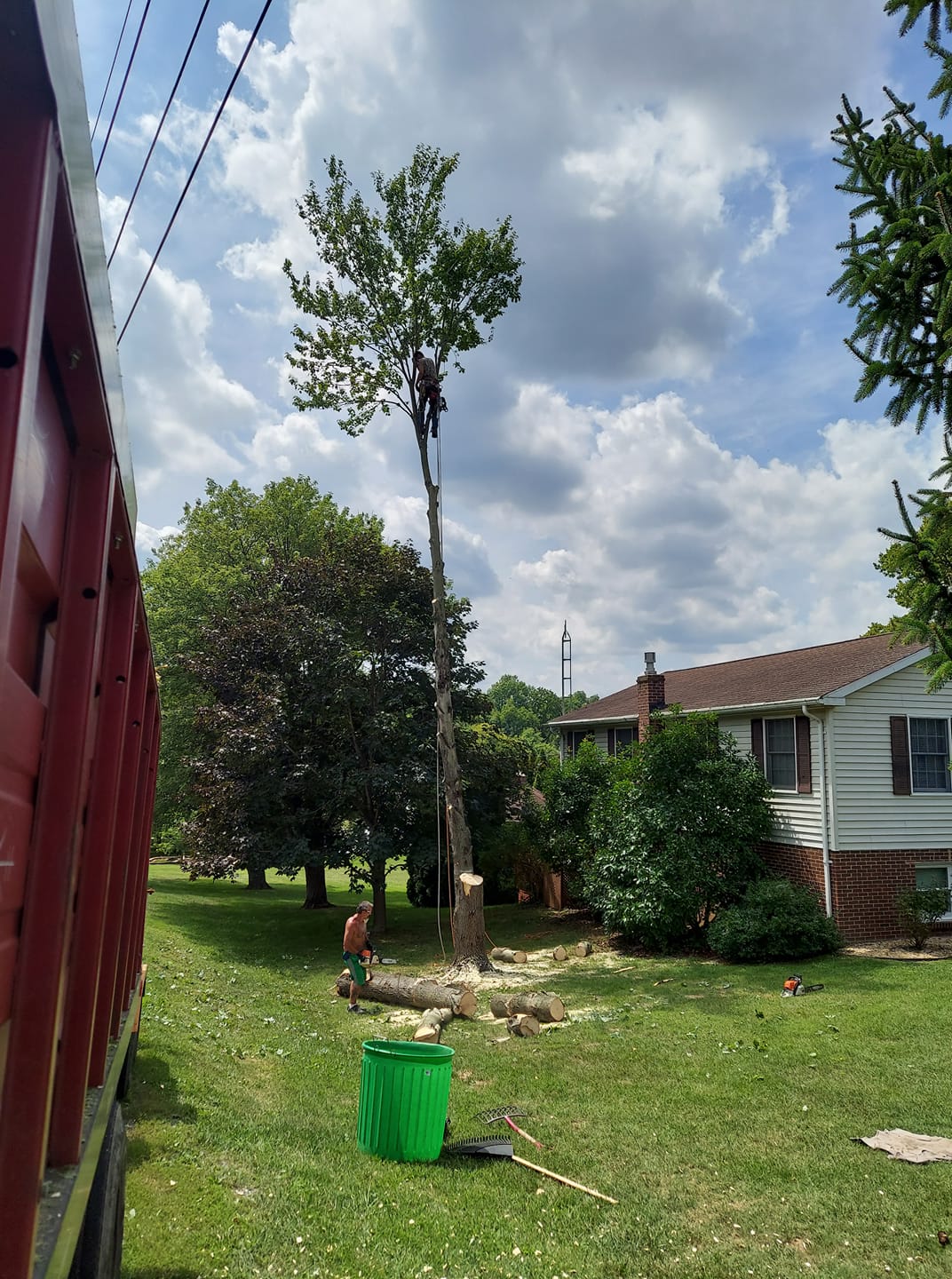 Custom Tree and Stump Removal LLC