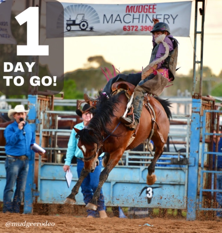 Mudgee - Only 1 Day To Go!!! Who is ready for a great night of speedy ...