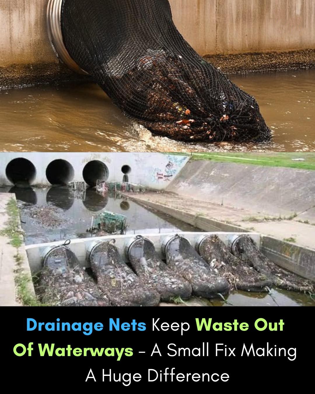 Ancient - 💡 A Simple Net, A Massive Impact 🌎🕸️ What if stopping plastic ...
