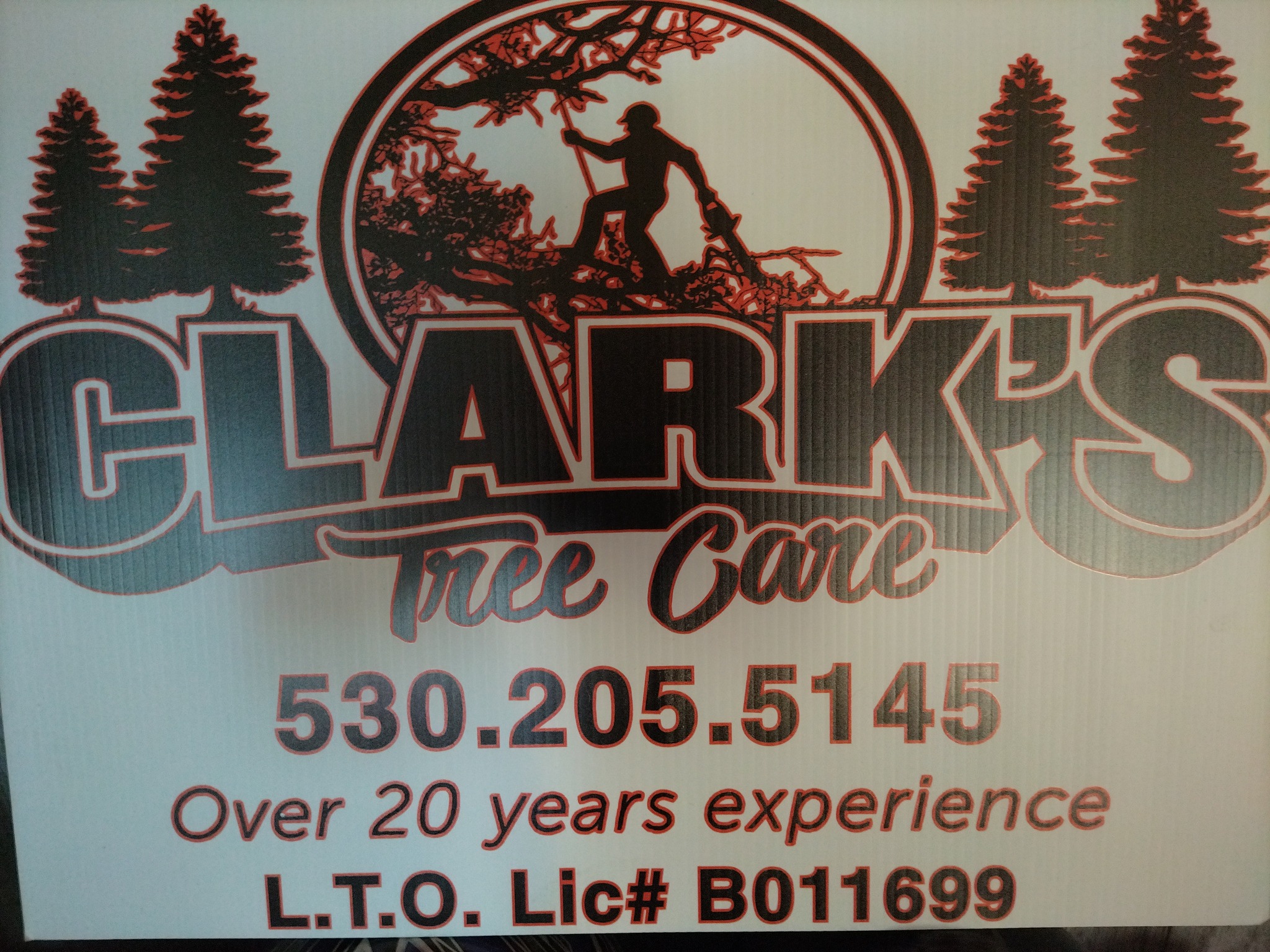 Clark's TREE CARE | Grass Valley CA