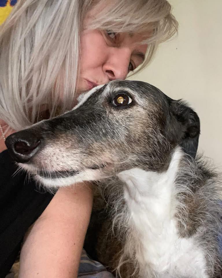 Great Global Greyhound Walk | Hei-Wa has recruited another mate, Atlas ...