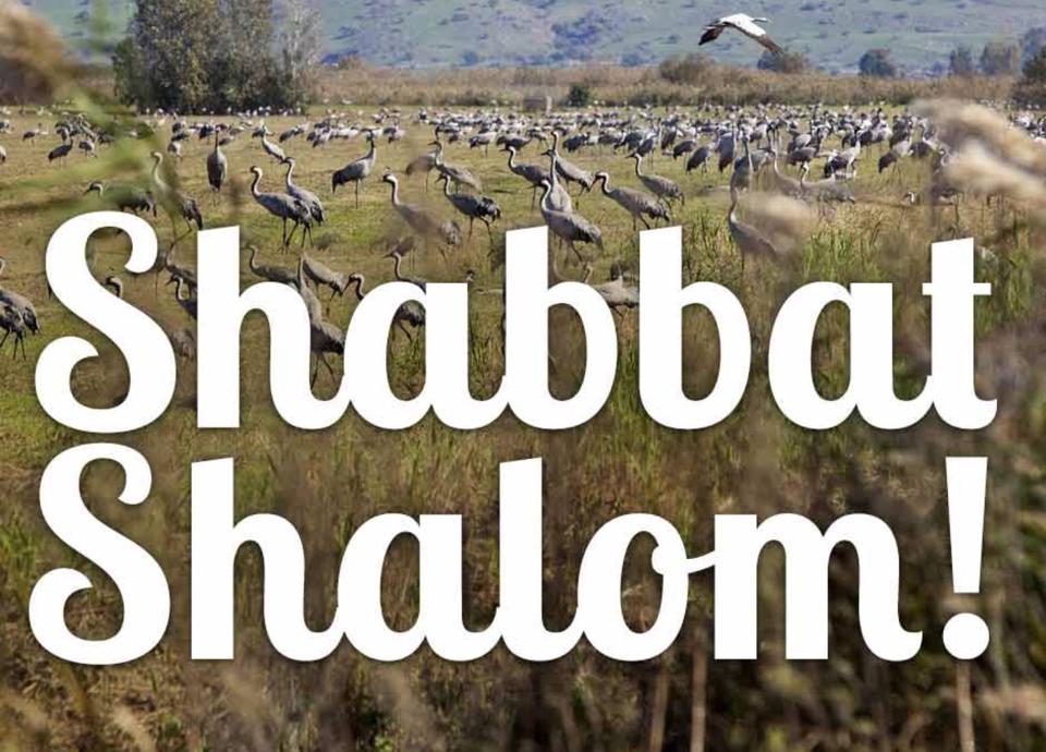 Shabbat Shalom! - Rosen School of Hebrew