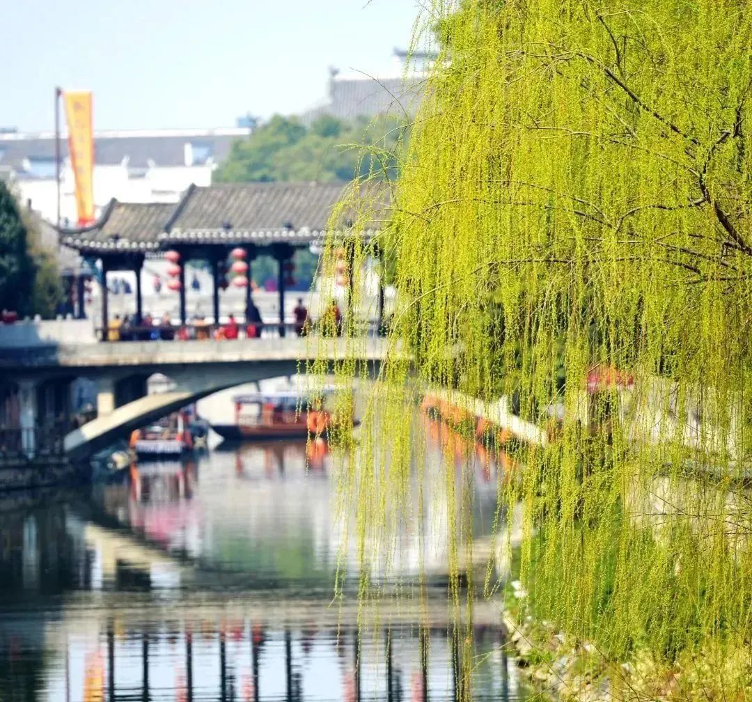 Amazing Hefei - 🍃🍀Today is the beginning of Spring Equinox... | Facebook