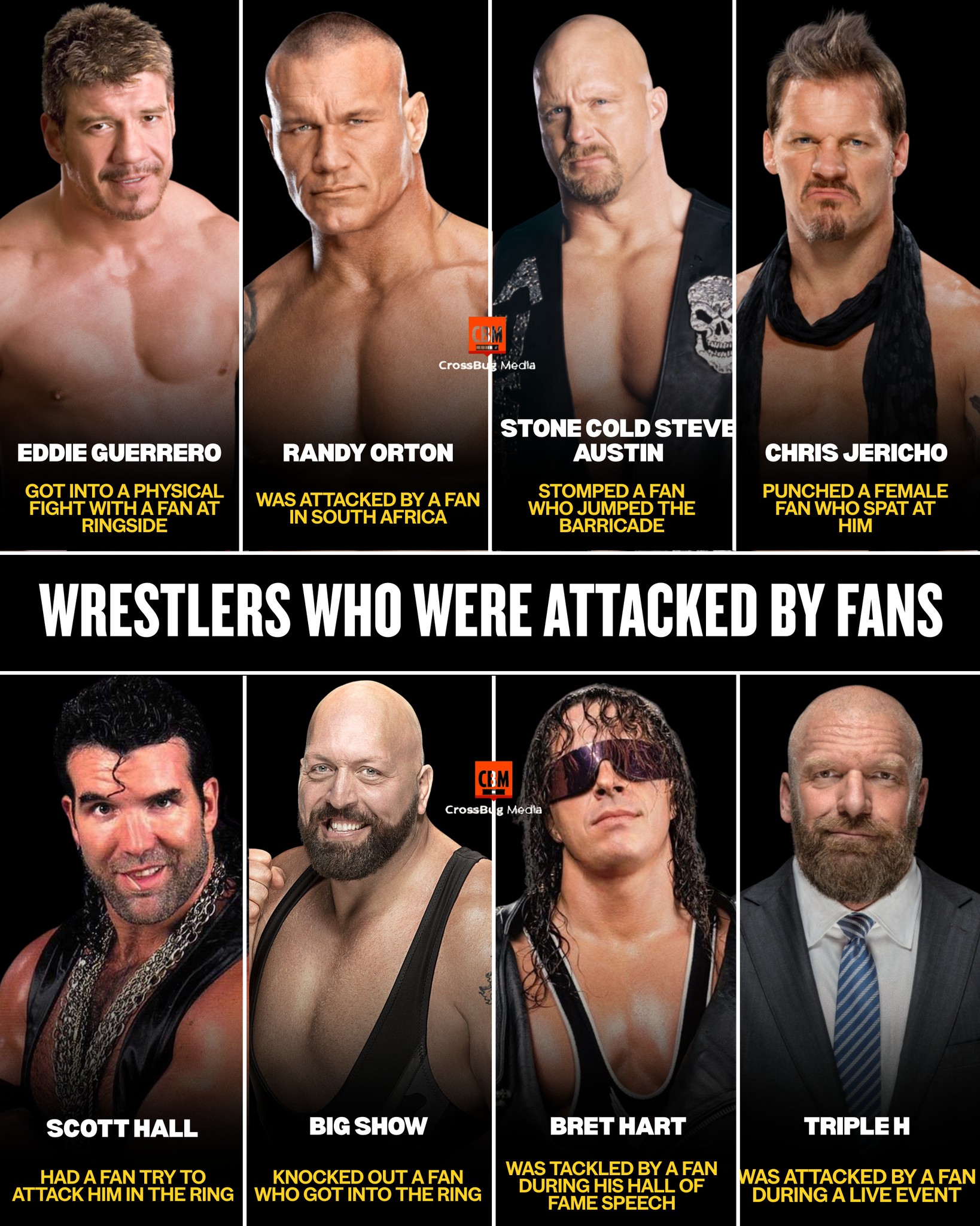 Viral - 💥 WRESTLERS WHO WERE ATTACKED BY FANS 💥 The wrestling ring may ...