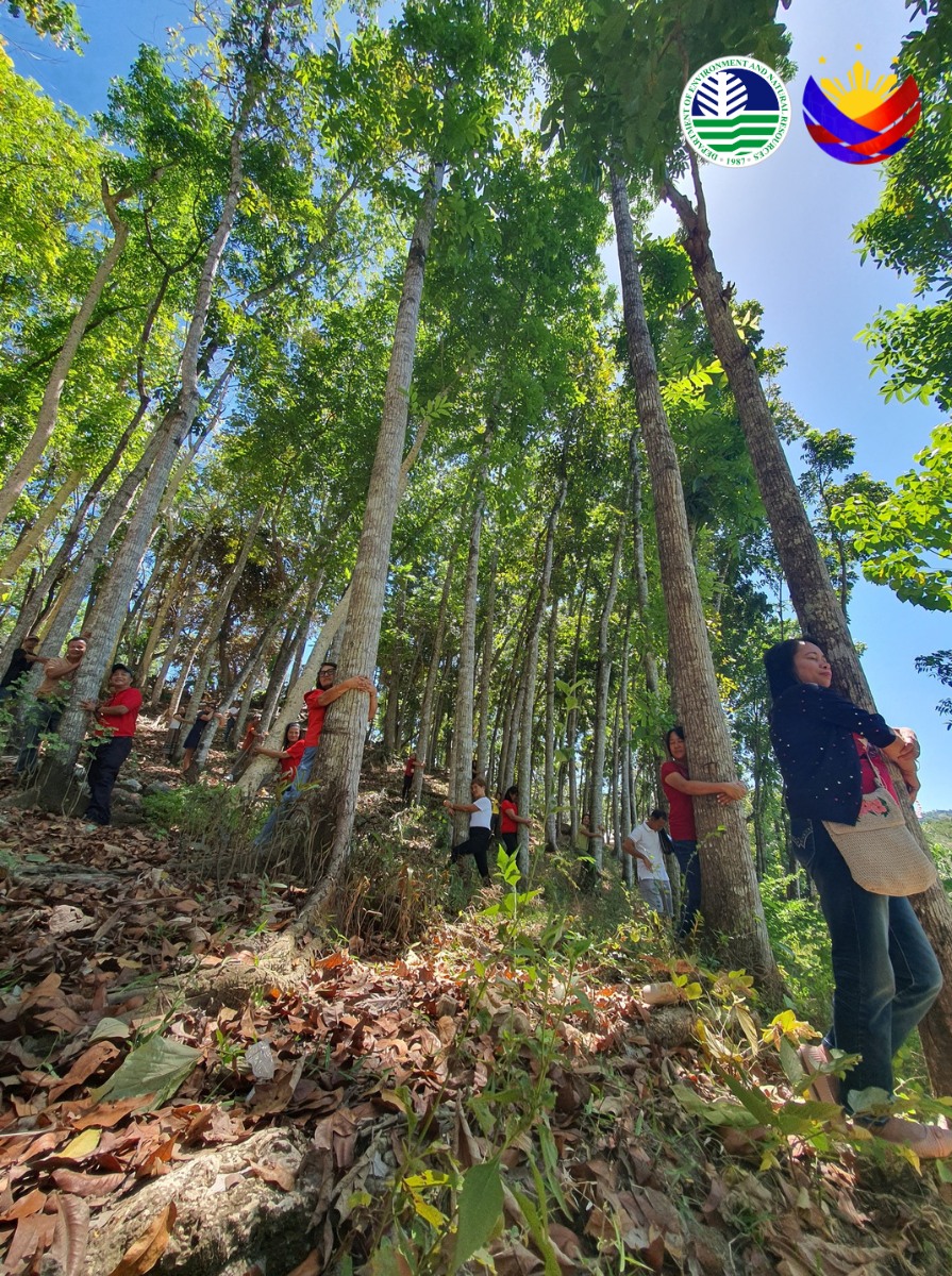 Panay - LOOK: The Department of Environment and Natural Resources (DENR ...