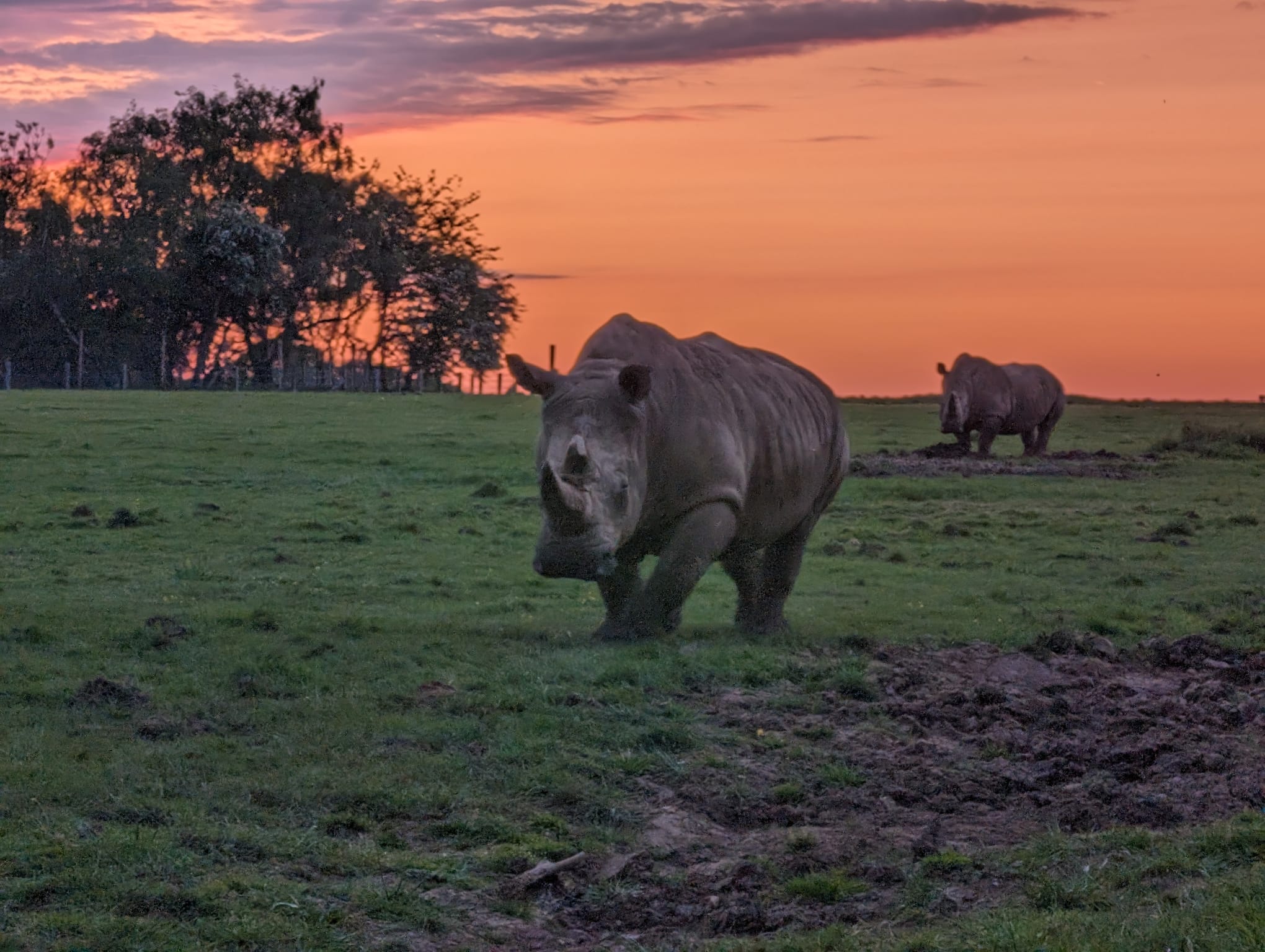 lookout-lodge-at-zsl-whipsnade-zoo-dunstable