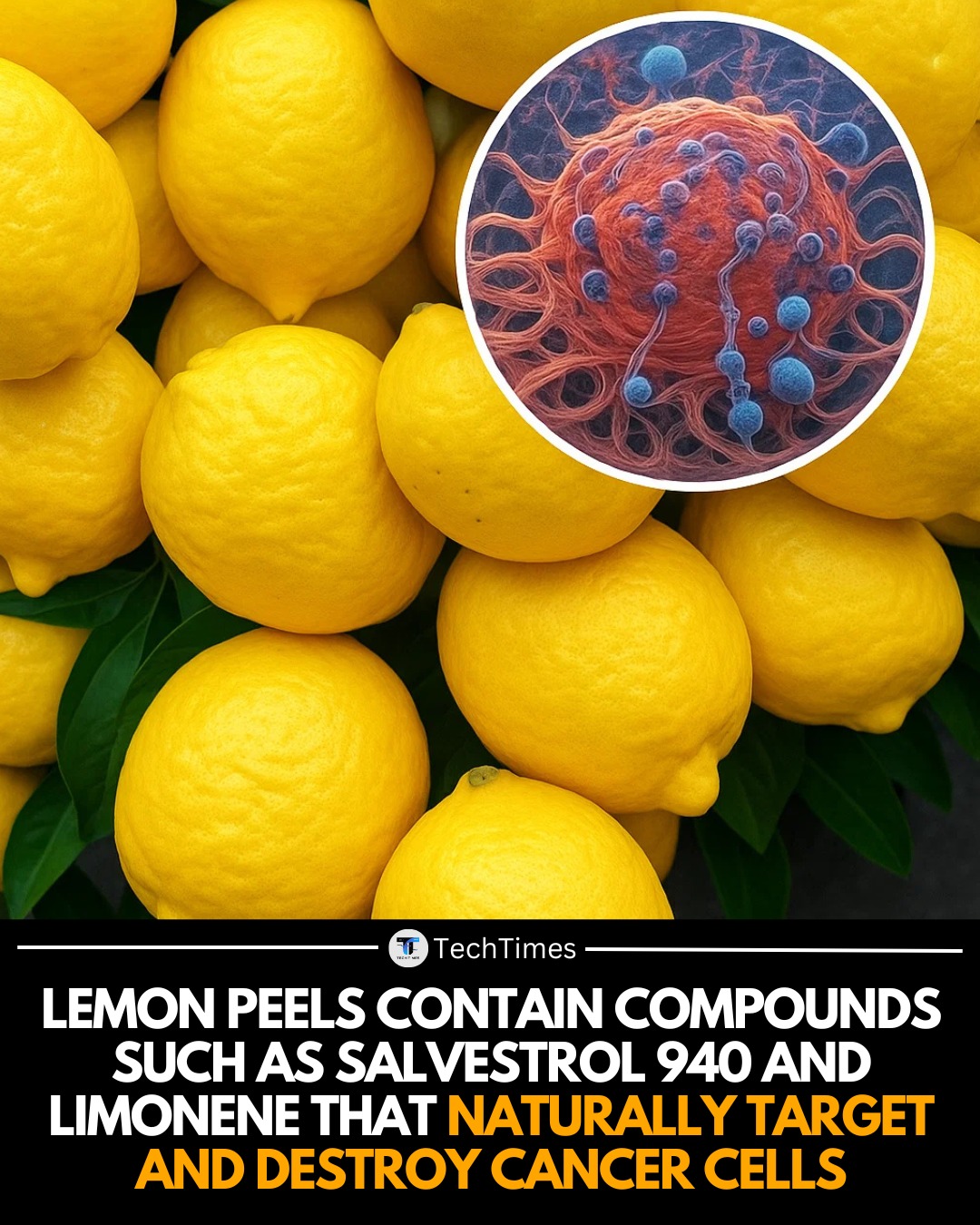TechTimes - Recent scientific research has revealed that... | Facebook