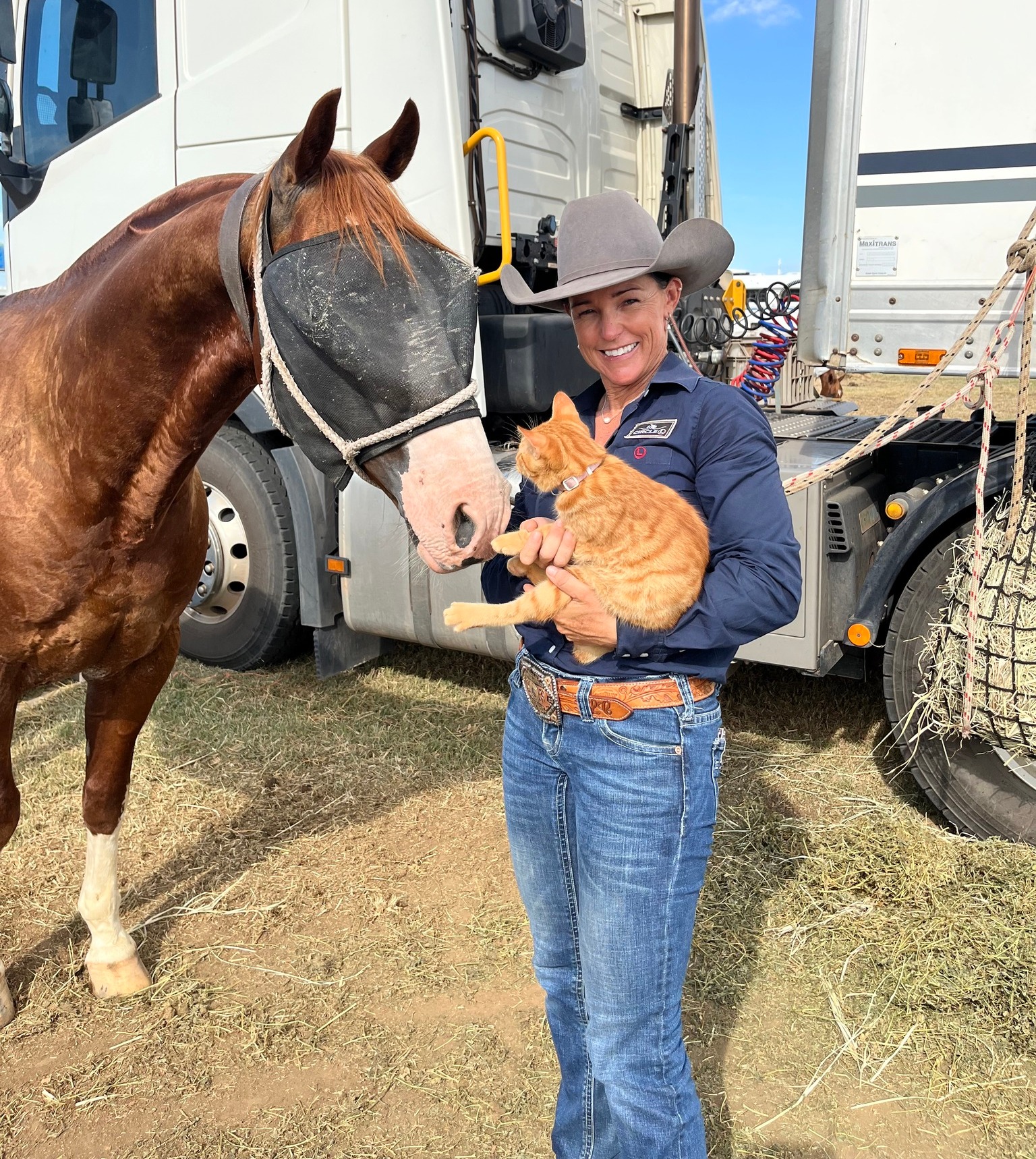 Select Sires - 𝗙𝗢𝗨𝗡𝗗 - 𝗦𝗧𝗥𝗔𝗬 𝗖𝗔𝗧 Louise Comiskey only... | Facebook