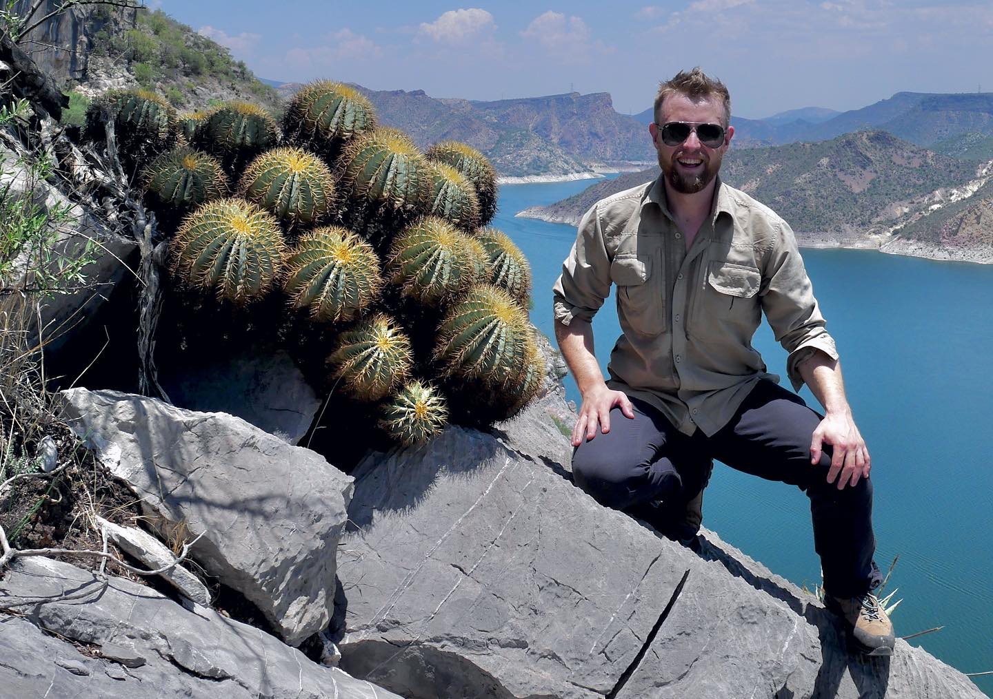 This cactus species (Myrtillocactus schenckii) is often found