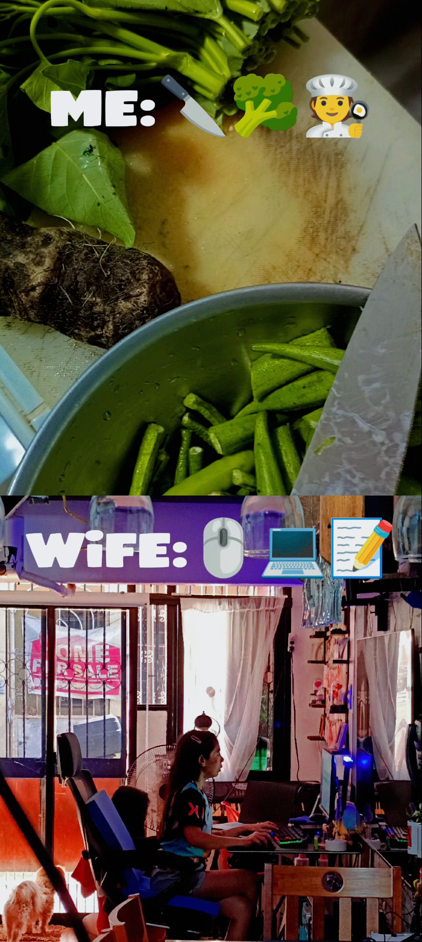 Archie - Friday Scenes: Me in the kitchen, preparing lunch🍳 while my ...