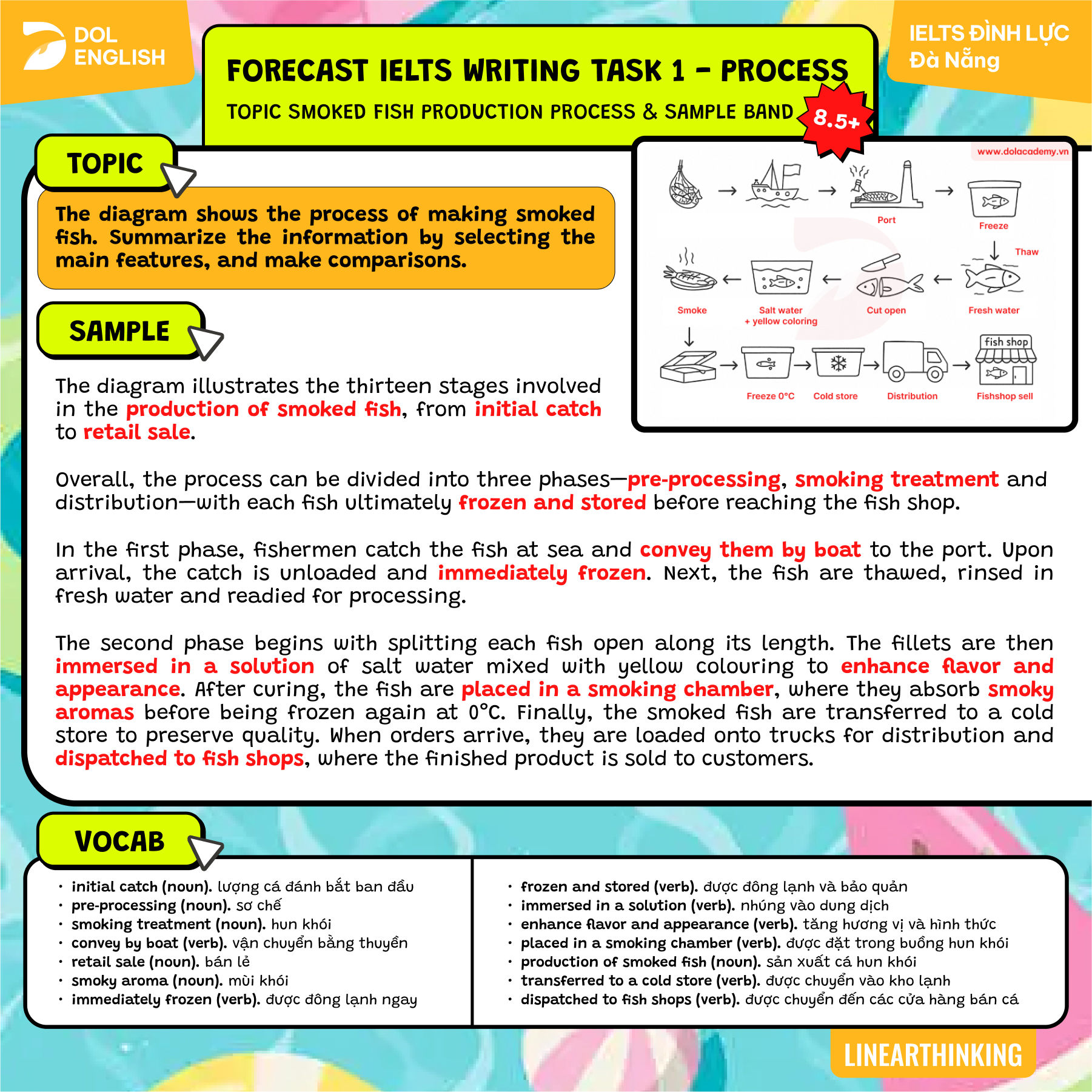 IELTS Writing Task 1 - Dạng... - DOL Đình Lực - Đà Nẵng | Facebook