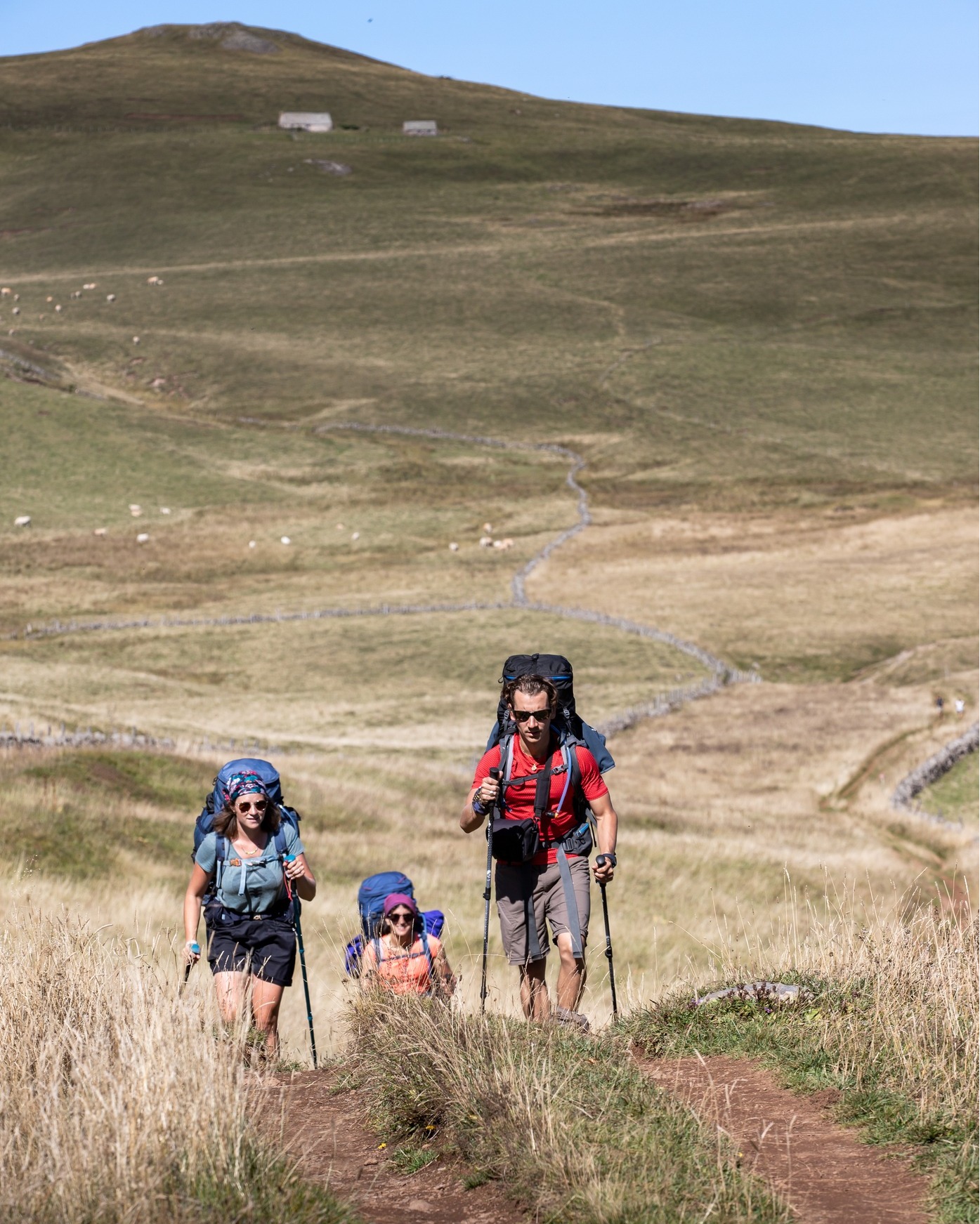 Les pèlerins du chemin GR65 de... - Tourisme en Aubrac