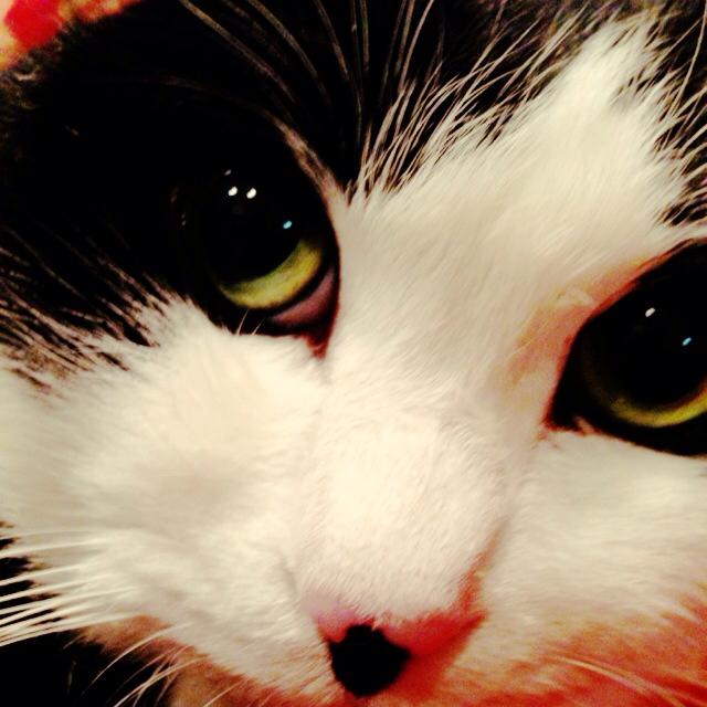 Miho Watanabe (@miho.watanabe.585) • Facebook