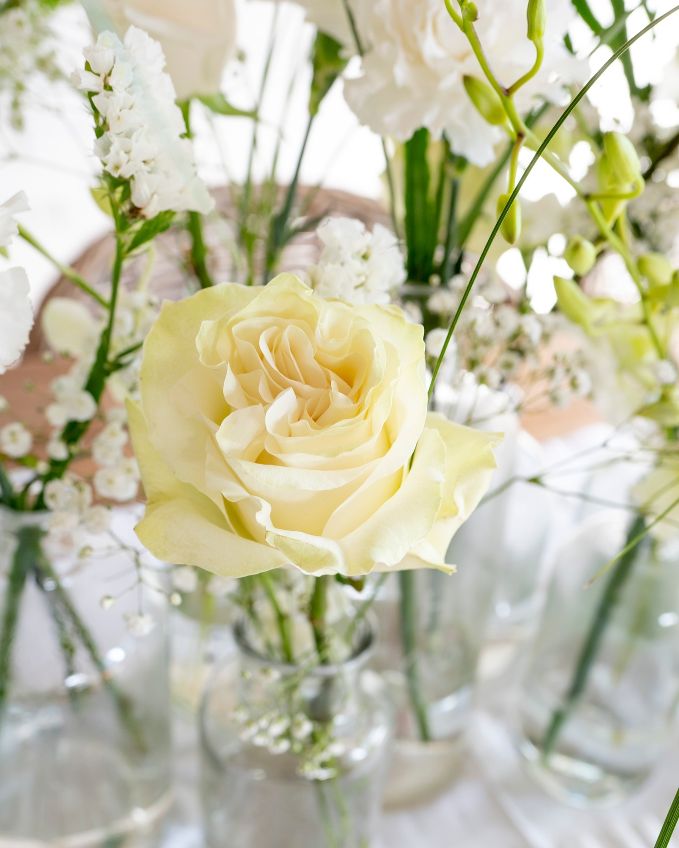 Flowex - The all time favourite for every wedding: Rosa...