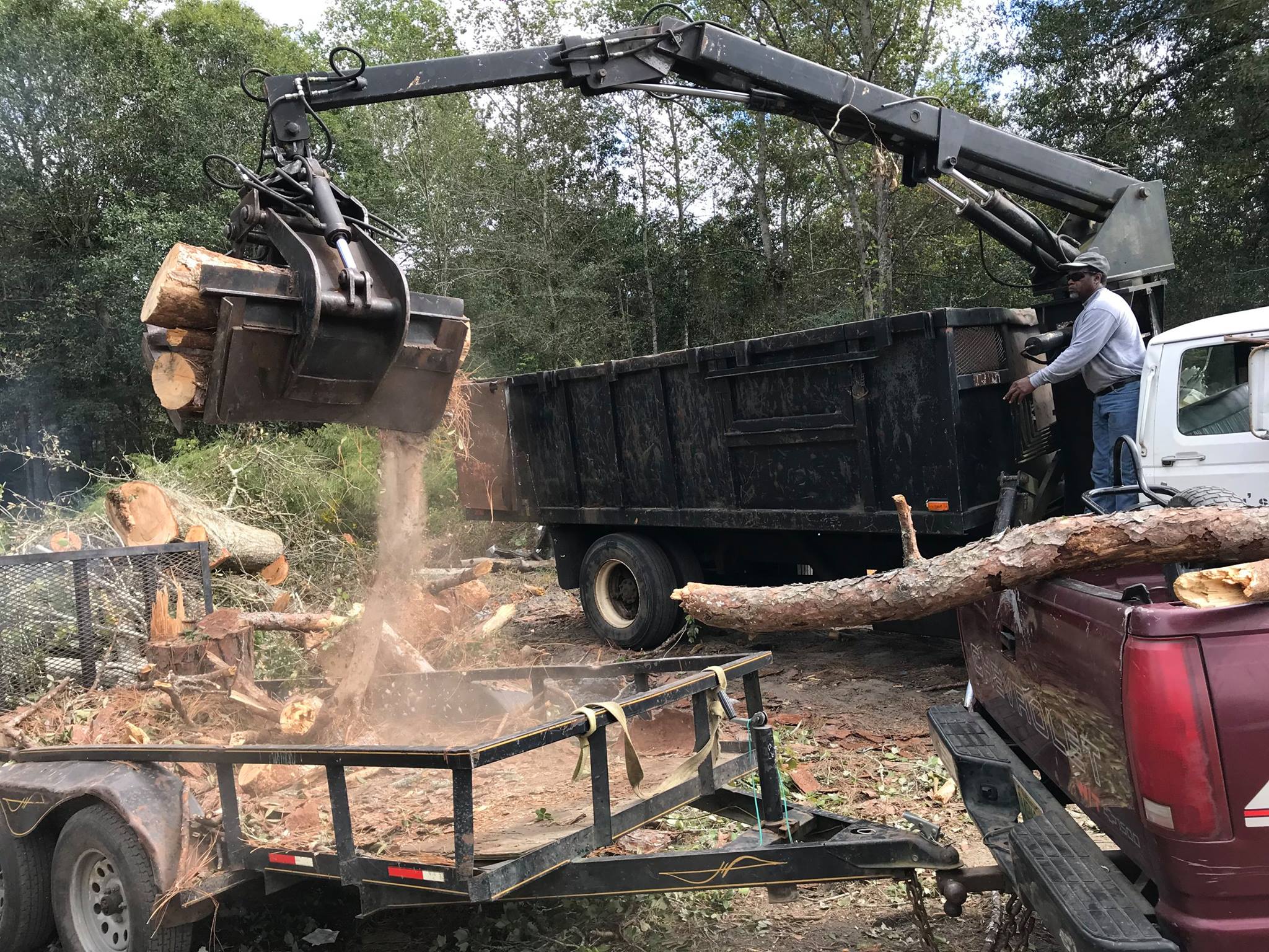 Allen's Tree Service | Samson AL