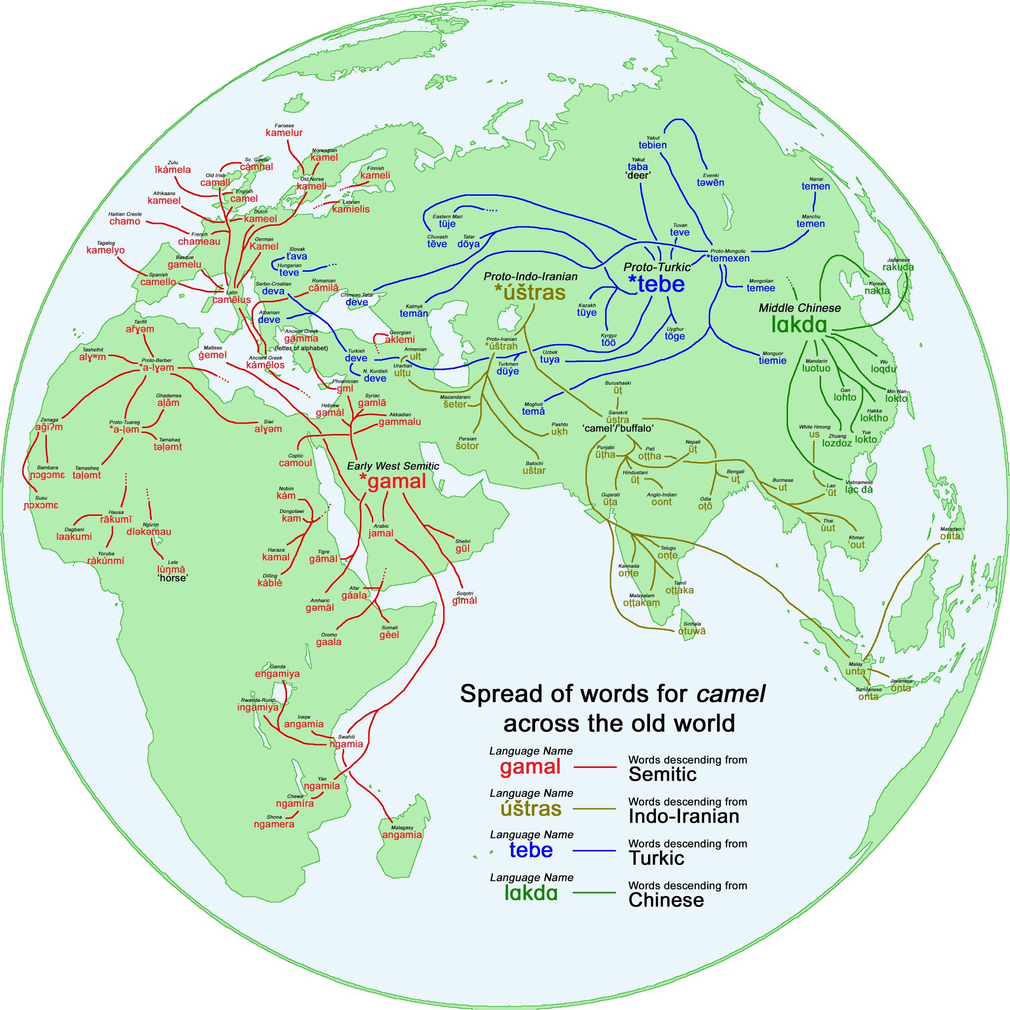 Geopolitical - The spread of words for “camel” traces old trade routes ...