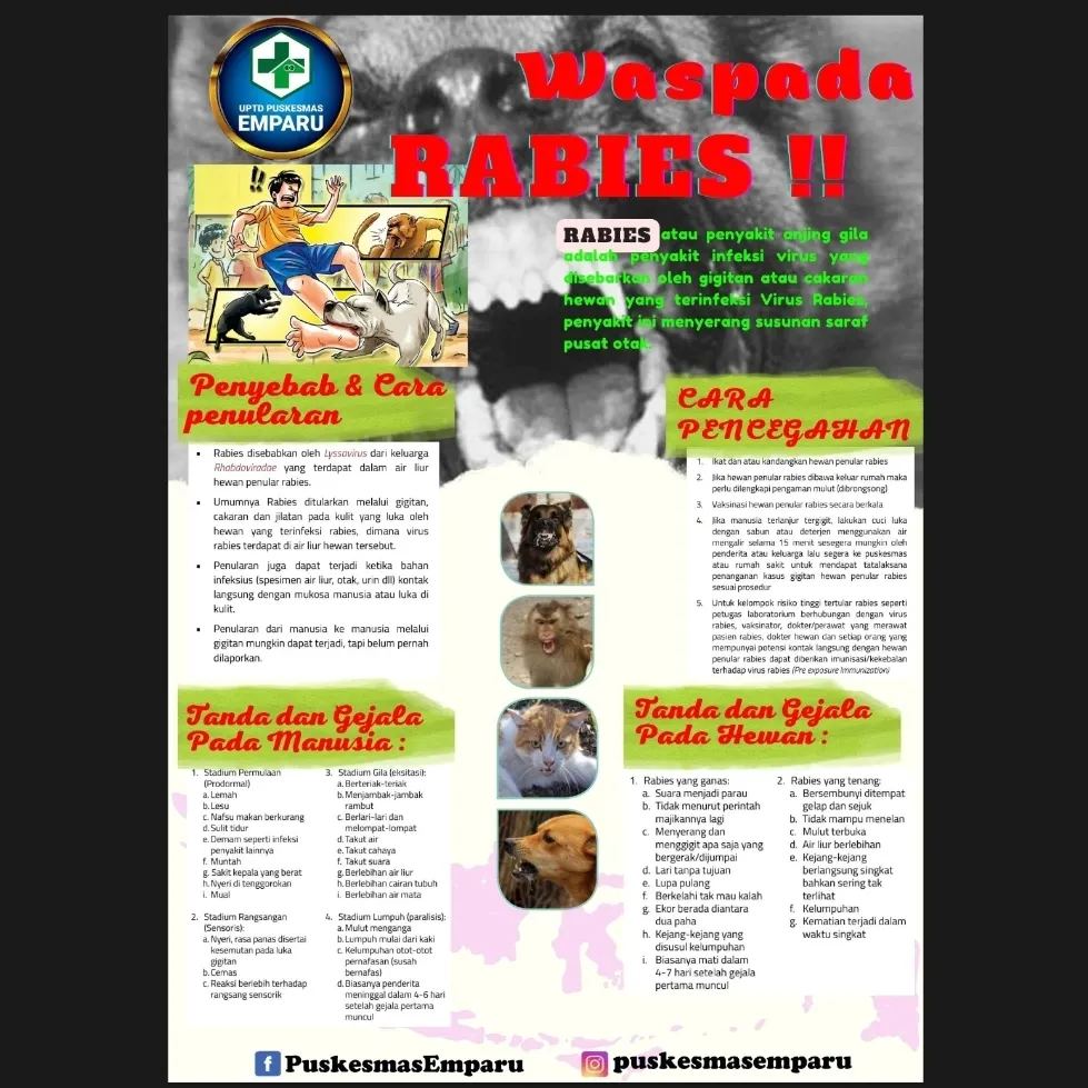 WASPADA RABIES !! #uptdpuskesmasemparu... - Puskesmas Emparu | Facebook