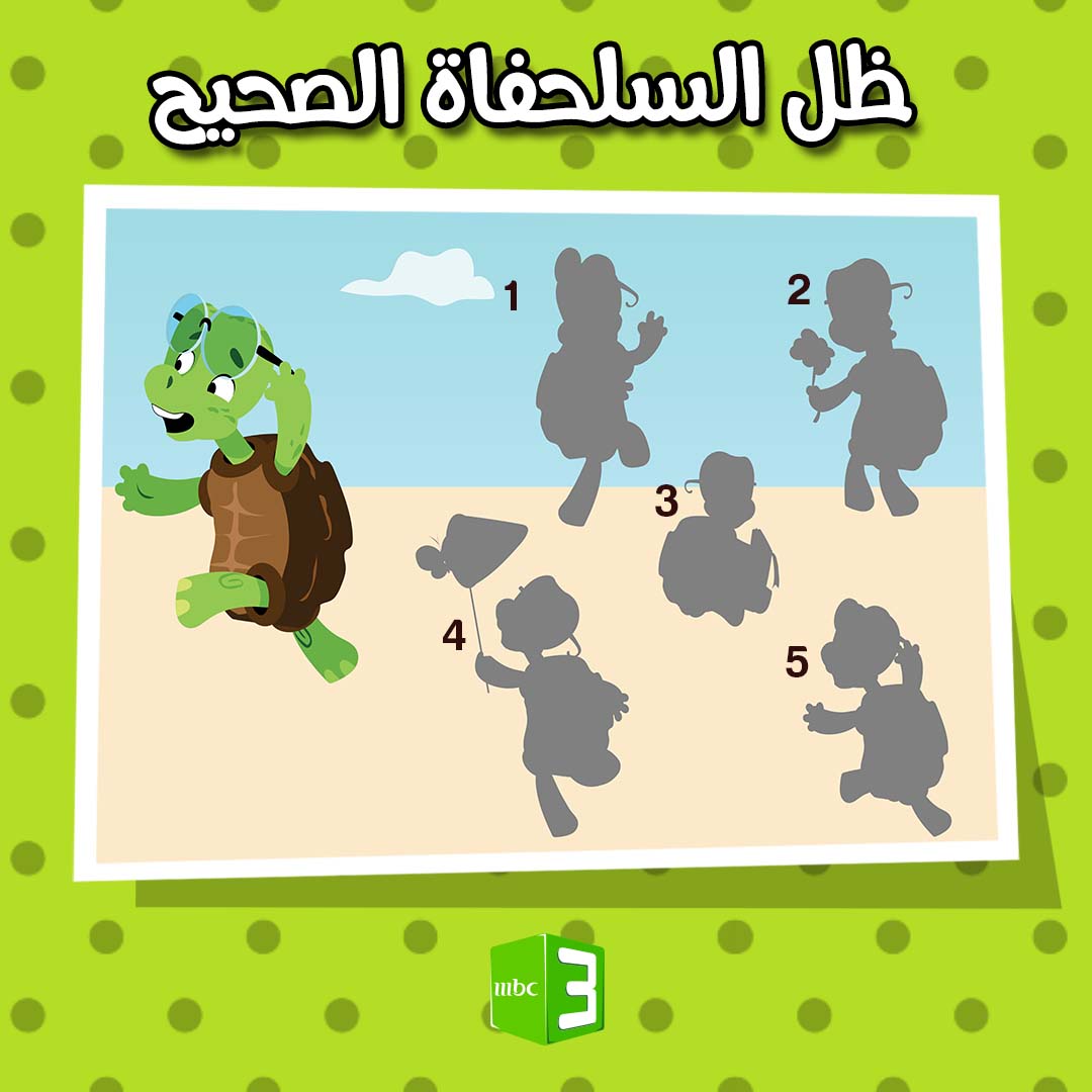 MBC3 - ظل السلحفاة الصحيح 🐢 #MBC3 #KIDS #GAMES #ألعاب #أطفال