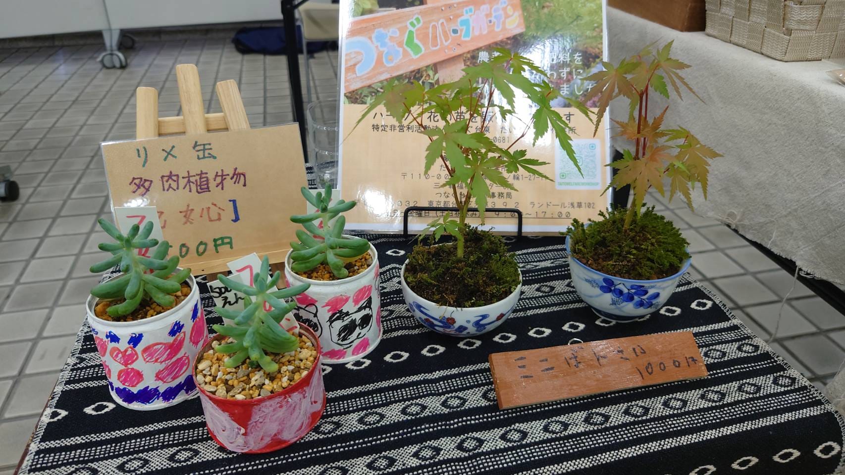 6－392、リメイク缶 リメイク鉢 リメ鉢 多肉植物 【公式通販】