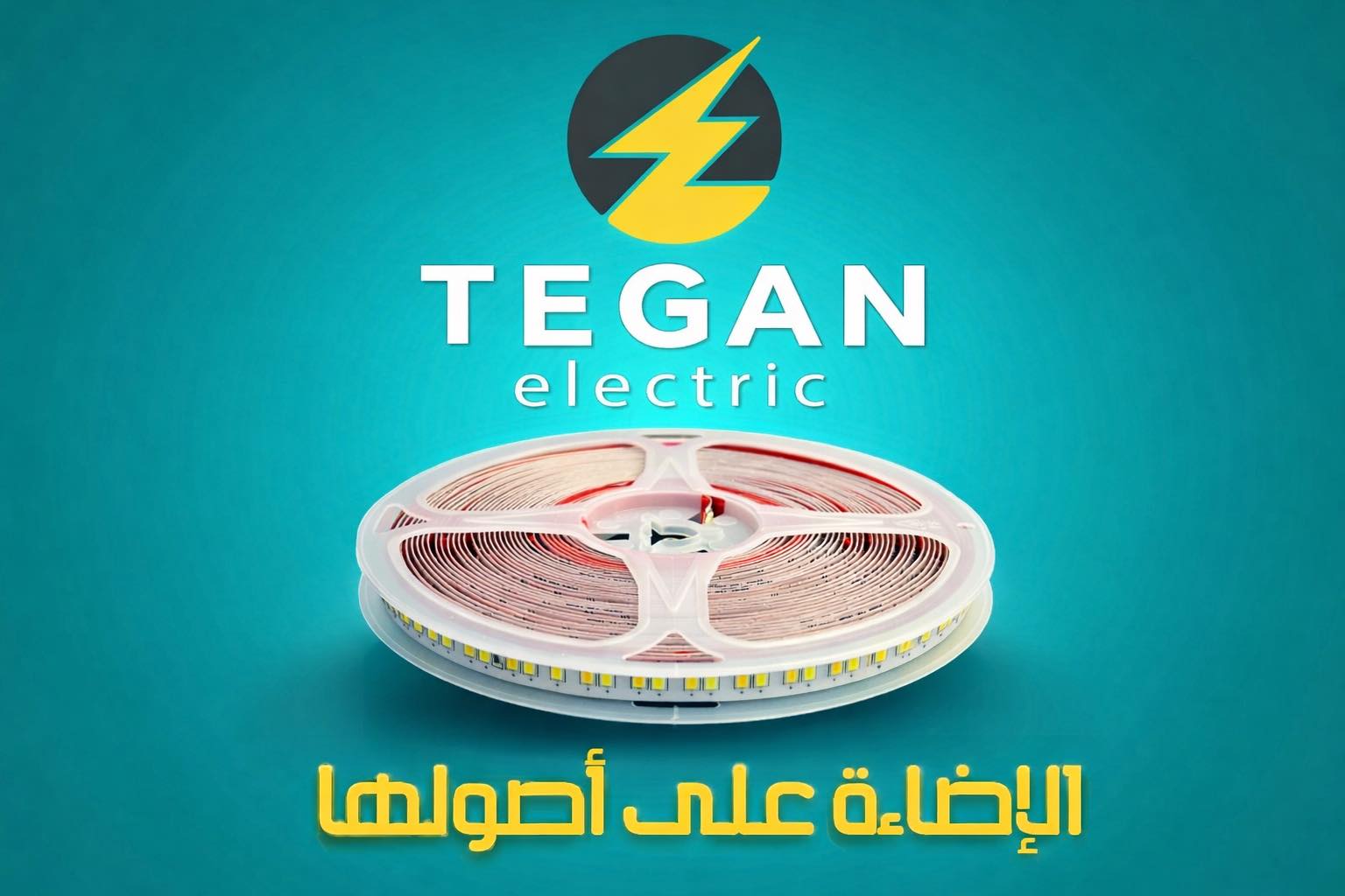 تـيـجان للاستيراد وتصنيع الأدوات الكهربائية | Cairo