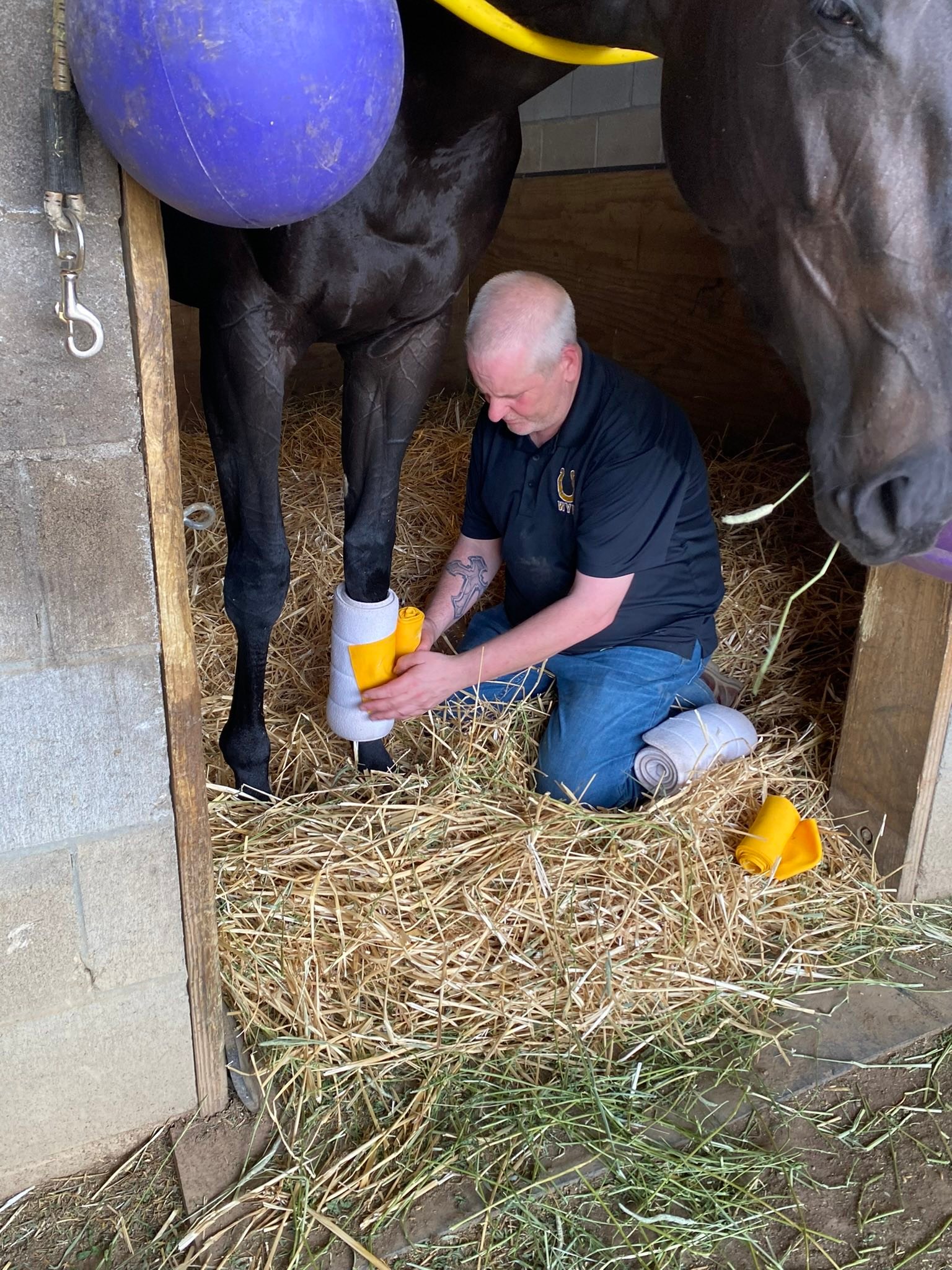 Wyn Racing Stables