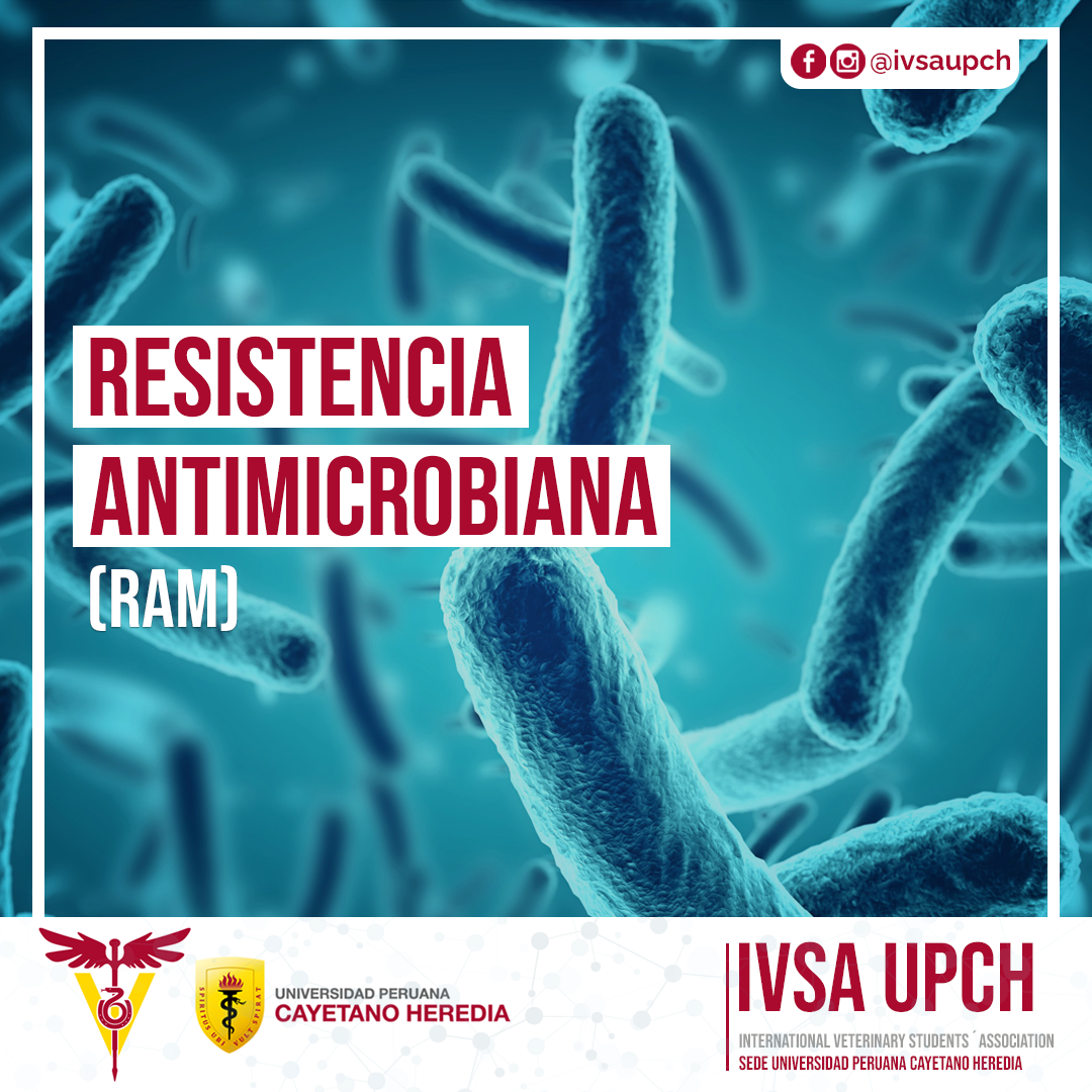 IVSA UPCH - ¿Qué es la zoonosis y cual es su importancia...
