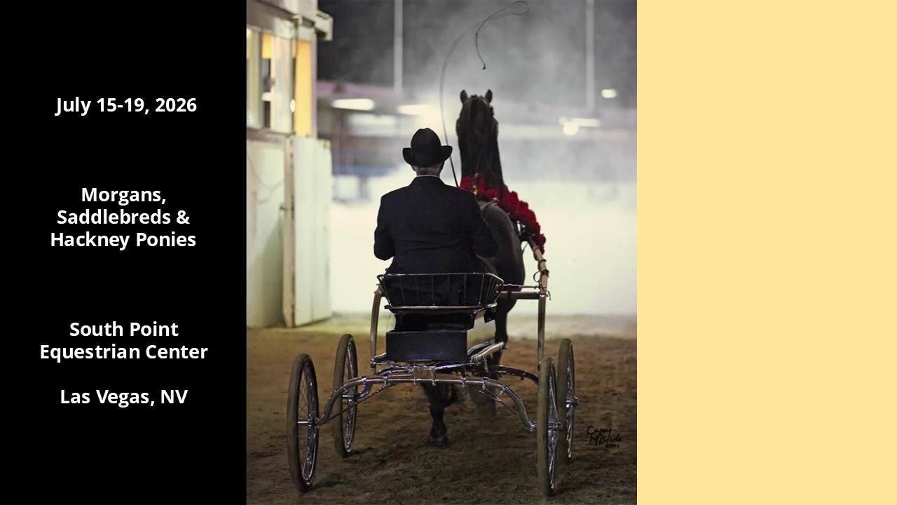 Carousel Charity Horse Show... - Carousel Charity Horse Show