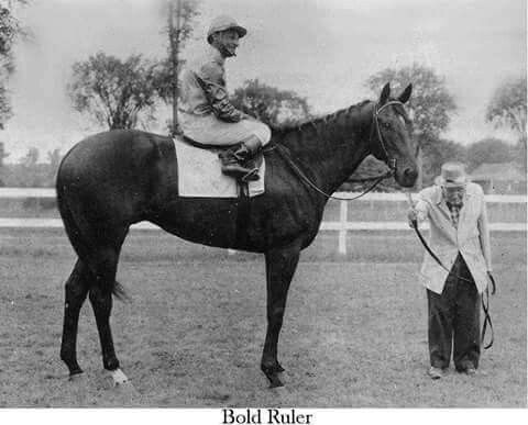 Natural - In 1957, Bold Ruler blazed across the track like living fire ...