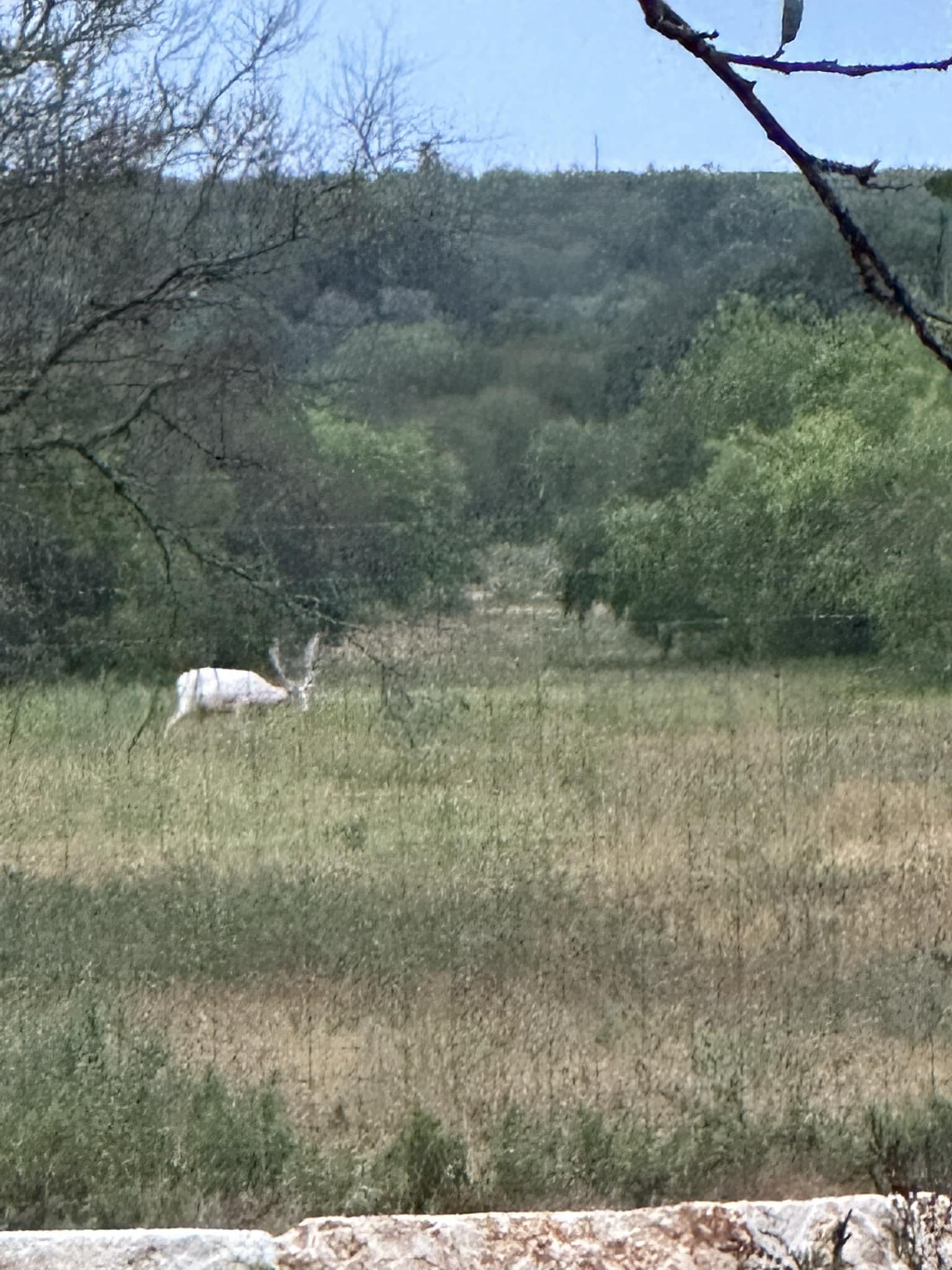 Cross T Ranch TX