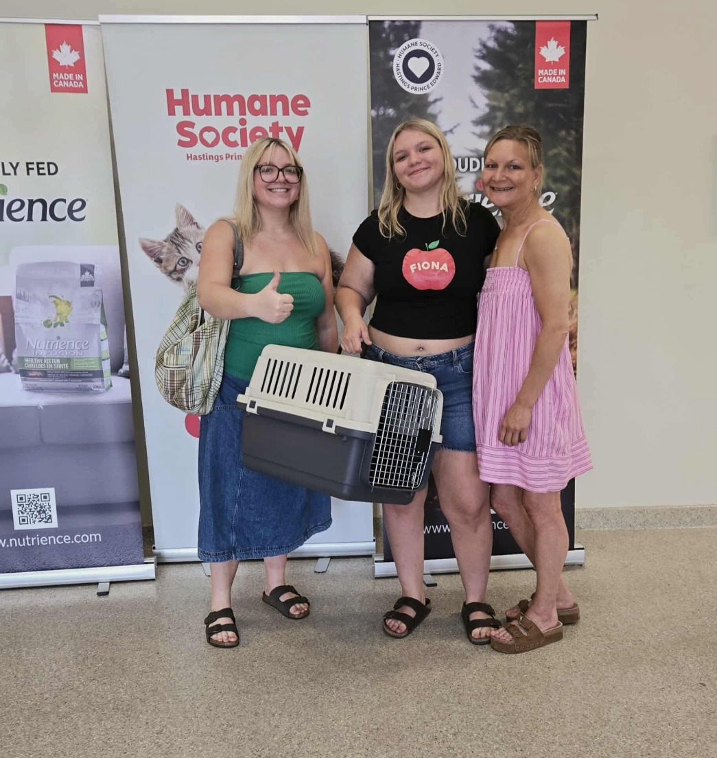 Humane - 😻 Lord Noseboop came to us as a stray in early June. He was ...