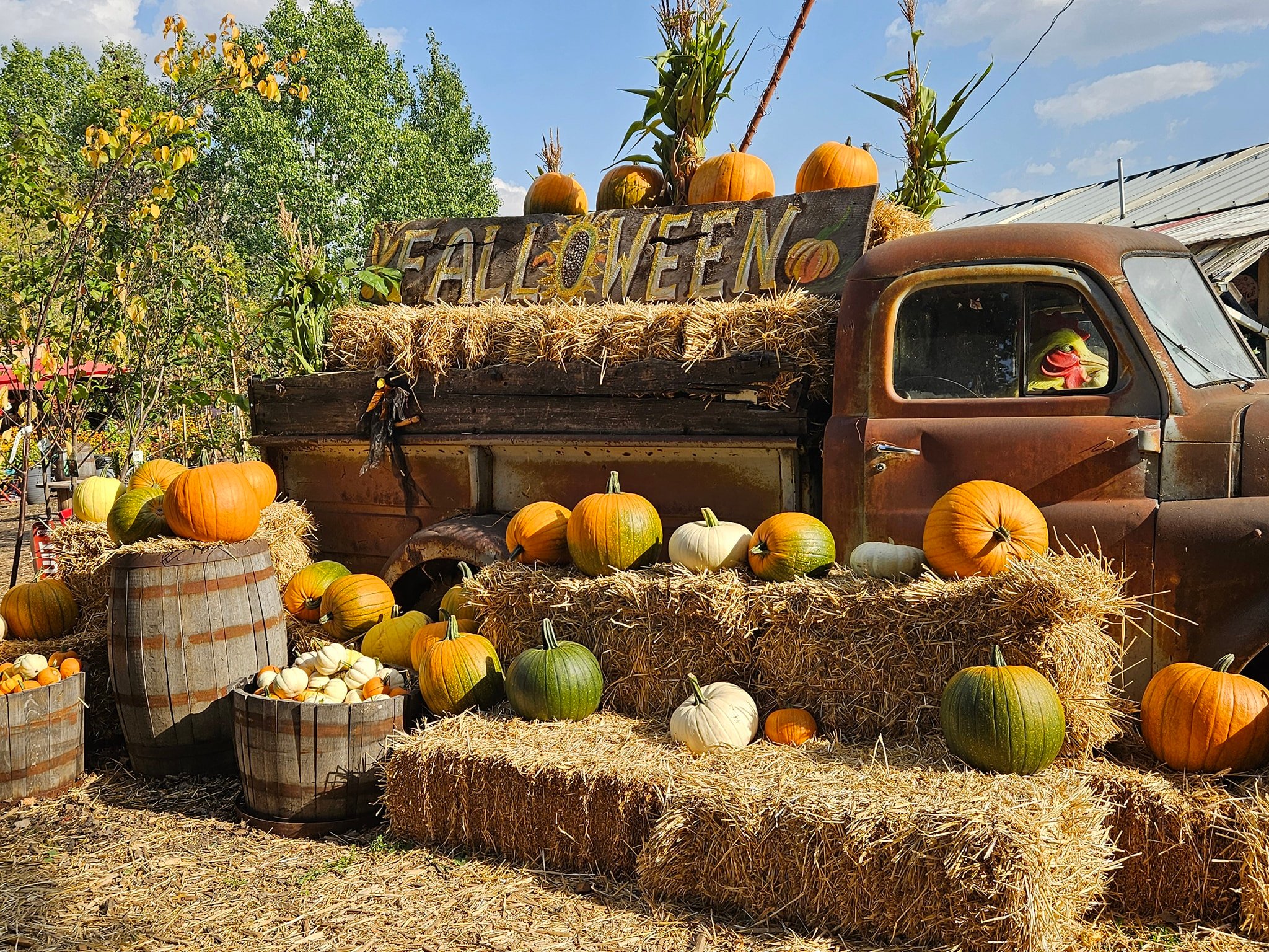 Volunteer at the Farm - Weekday NO-COST Educational Junior Farmer Program