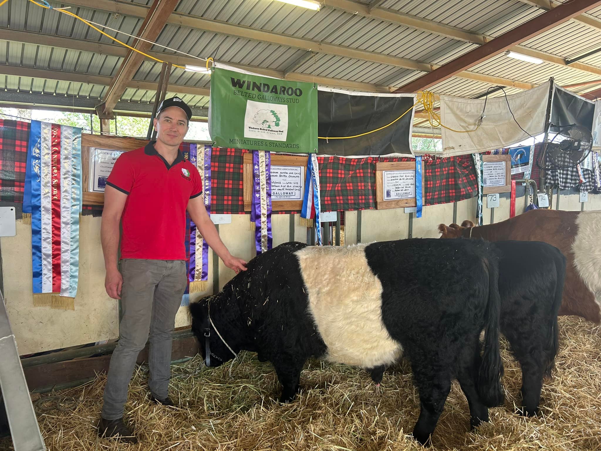 Windaroo - Windaroo Tank (Min) - Supreme Exhibit and Grand Champion ...
