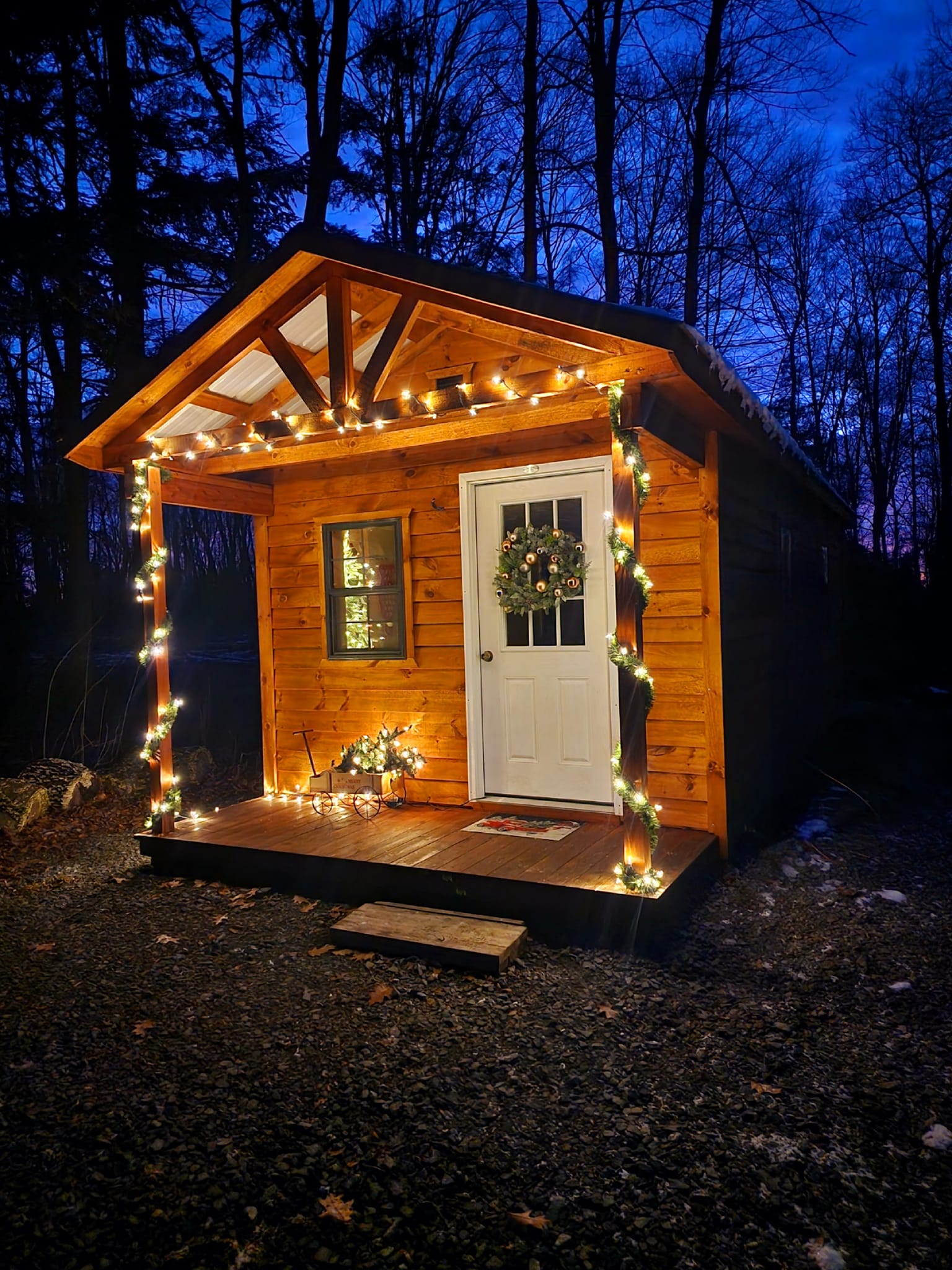 The Cat Shack | Amsterdam NY