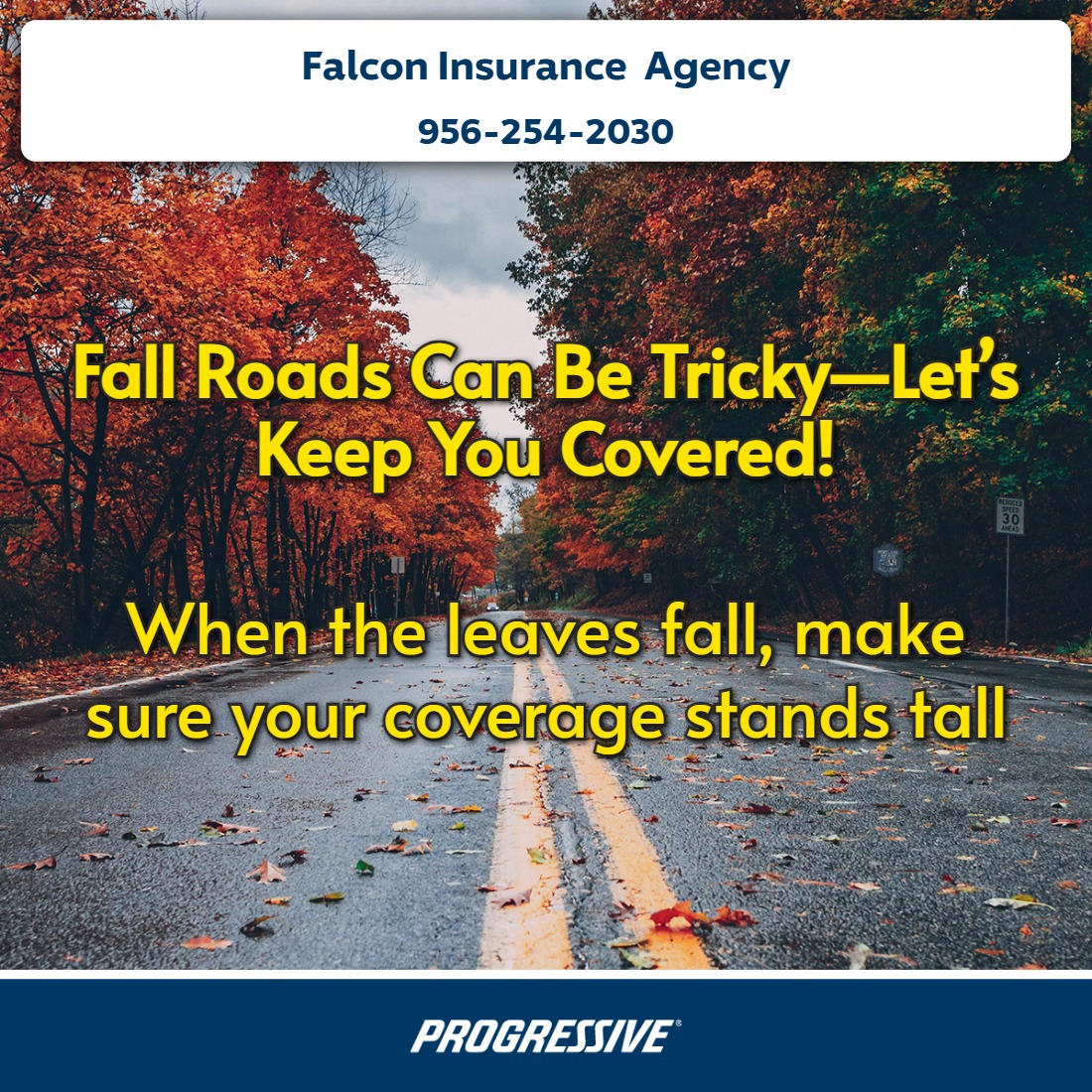 Falcon Insurance Agency | Los Fresnos TX
