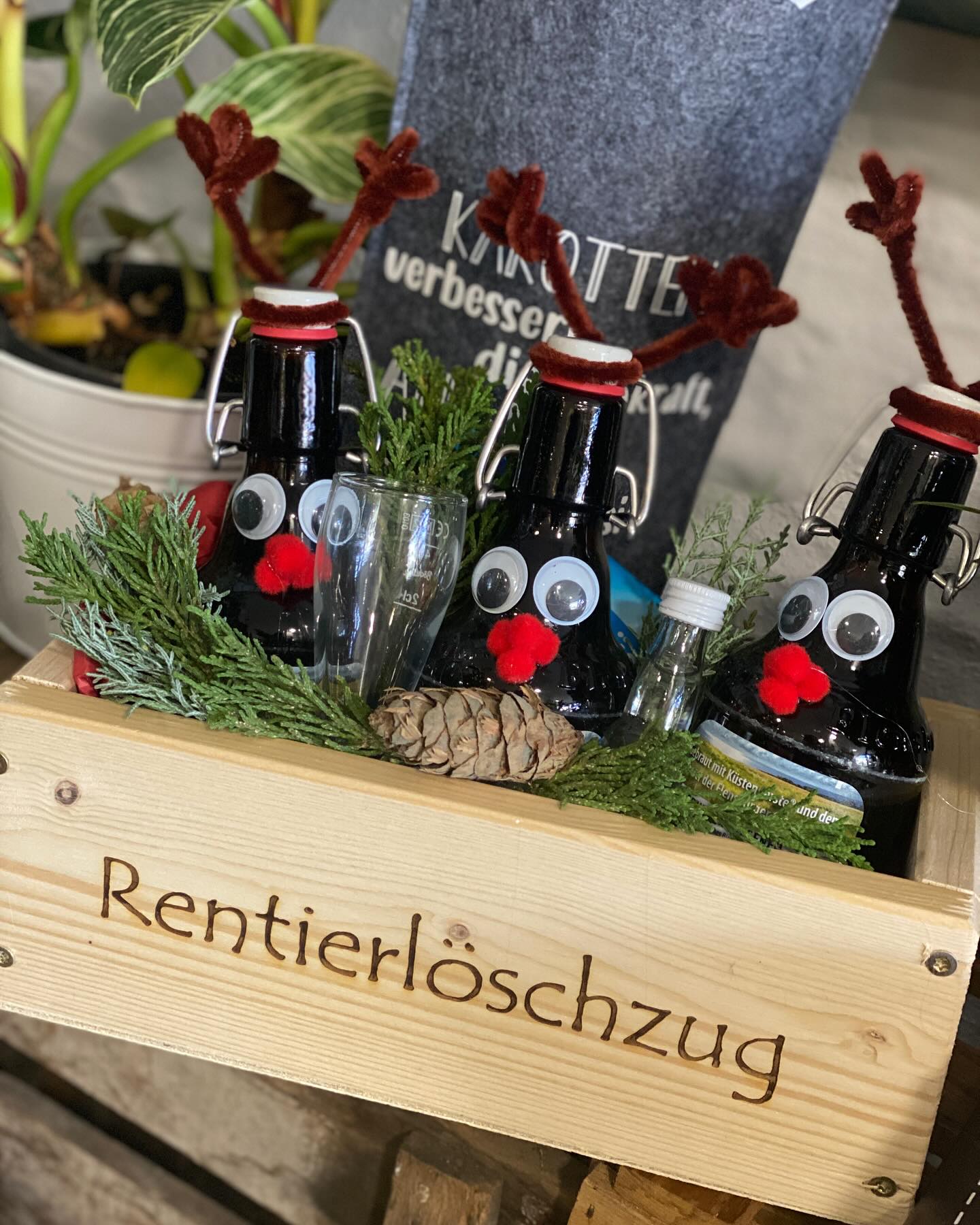 Lustige Geschenke 🎁 für die Männer 😀😀😀 #Weihnachten #Weihnachtsgeschenke #GeschenkeFürMänner #Geschenke #Deko #DekoIdeen #DecoLiebe #Blumen #Blumenstrauß #BlumenLiebe #Weihnachtsstern #Kreativ #Auens