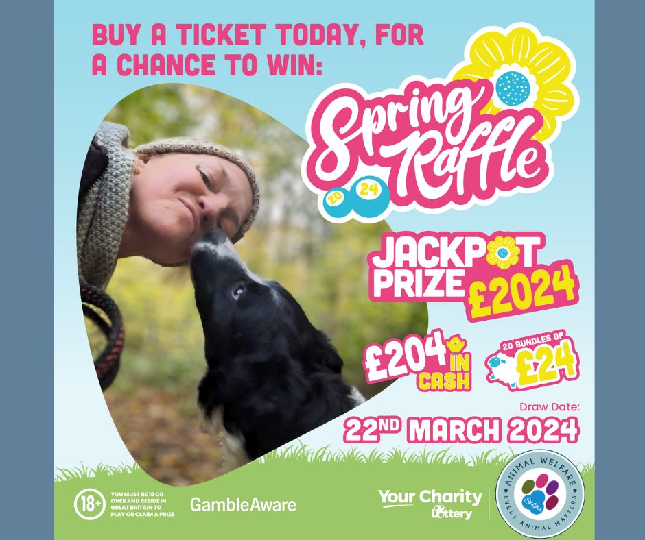 The spring raffle is here! You... - St Giles Animal Welfare | Facebook