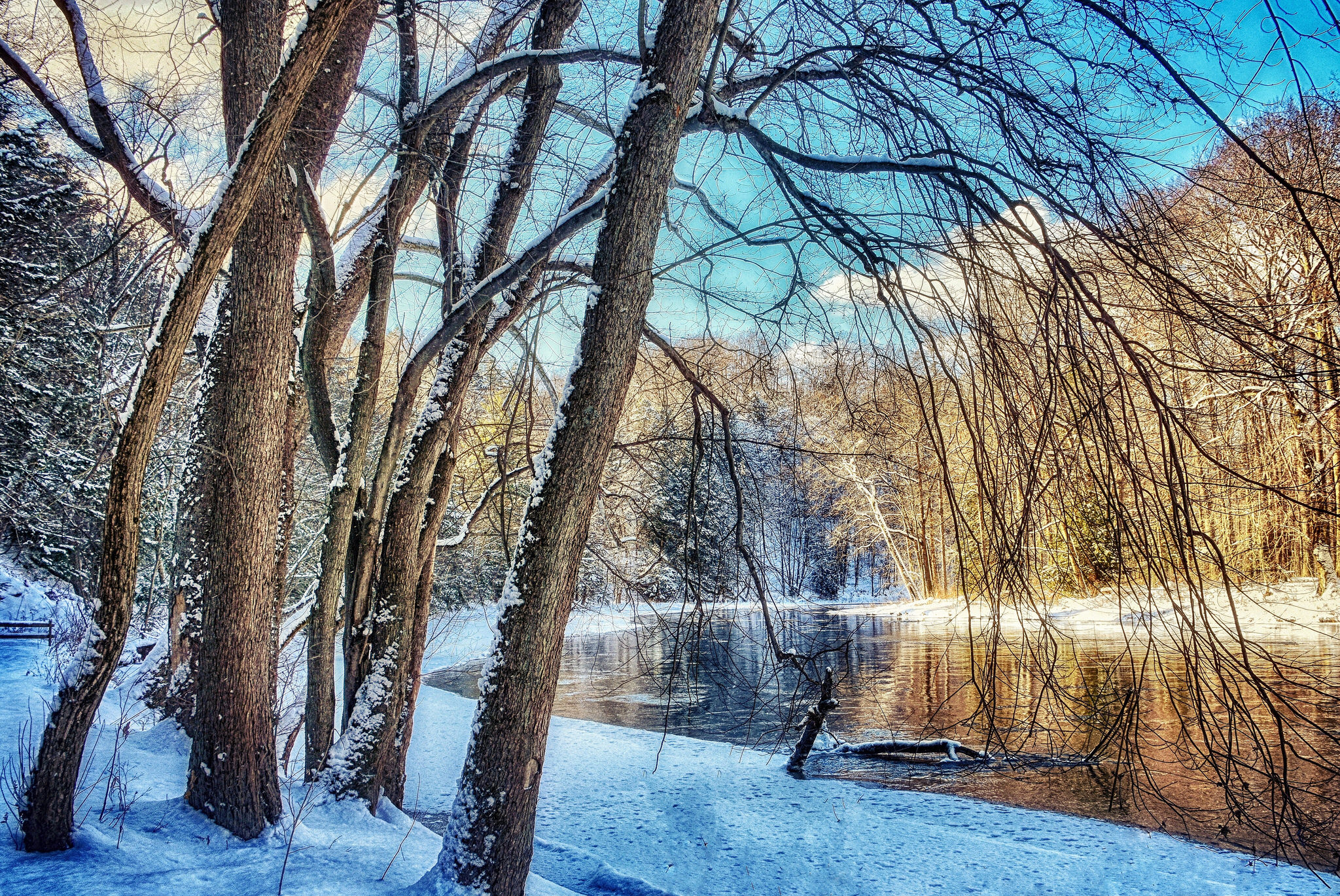 Hogback - Hogback Ridge Park is named for its most prominent natural ...
