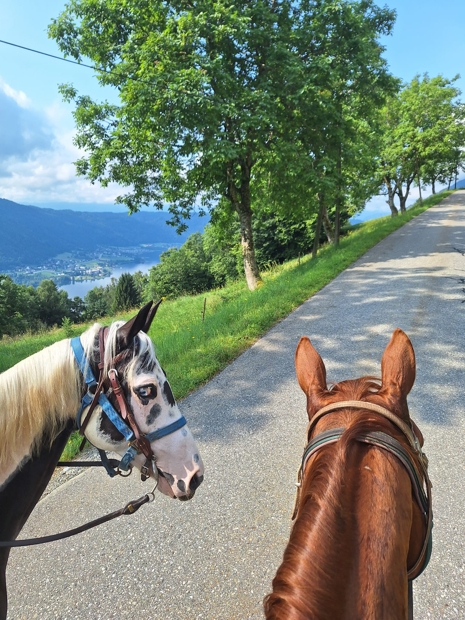Lake View Ranch