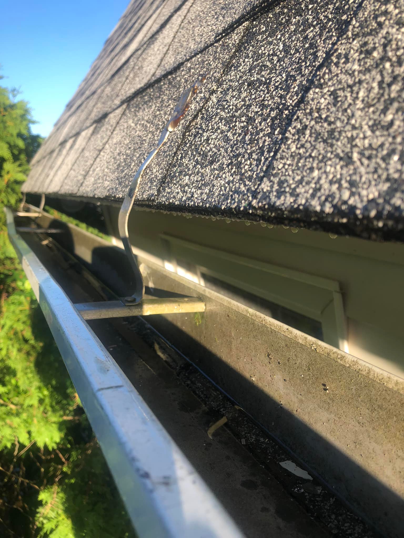 Electricians | Anyone share pictures of meter banks with gutters or ...