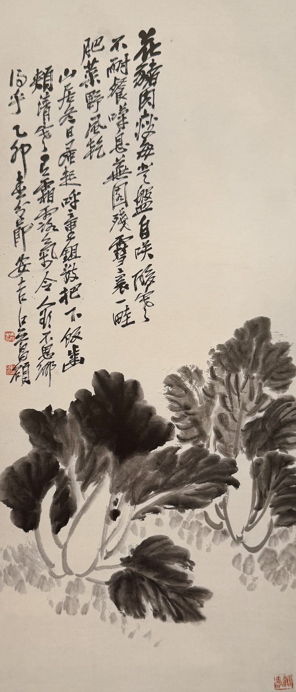 Guangrao - 白菜是海派名家吴昌硕喜绘的题材之一。此幅《白菜图》虽仅