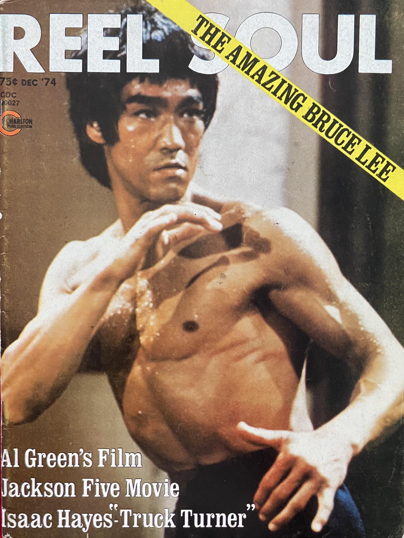Magazine Martial Arts Legends Février 1996 - Bruce Lee & Brandon Lee - Collection Très Bon état