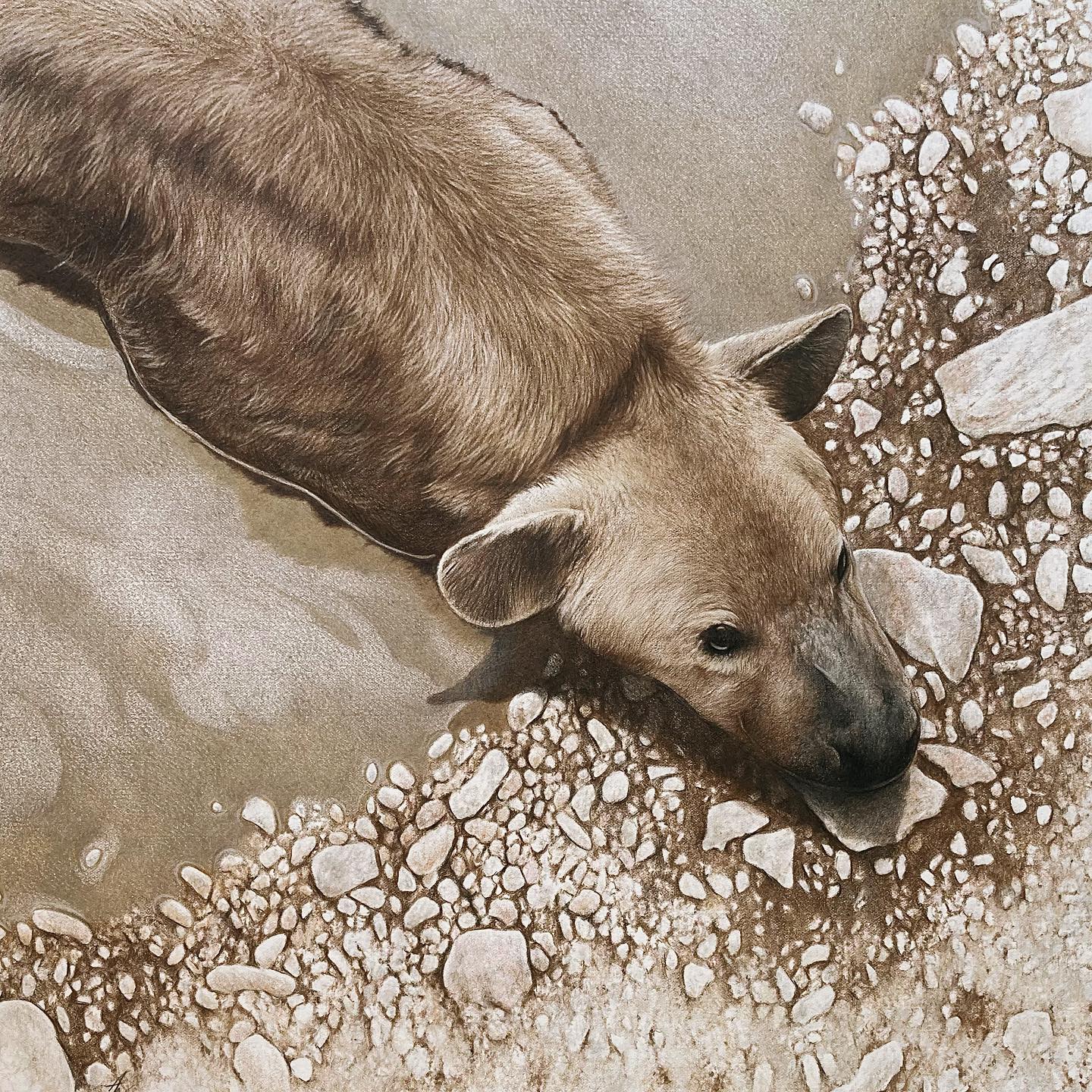 The vacuum cleaner of the African bush. A hyena in pastels on