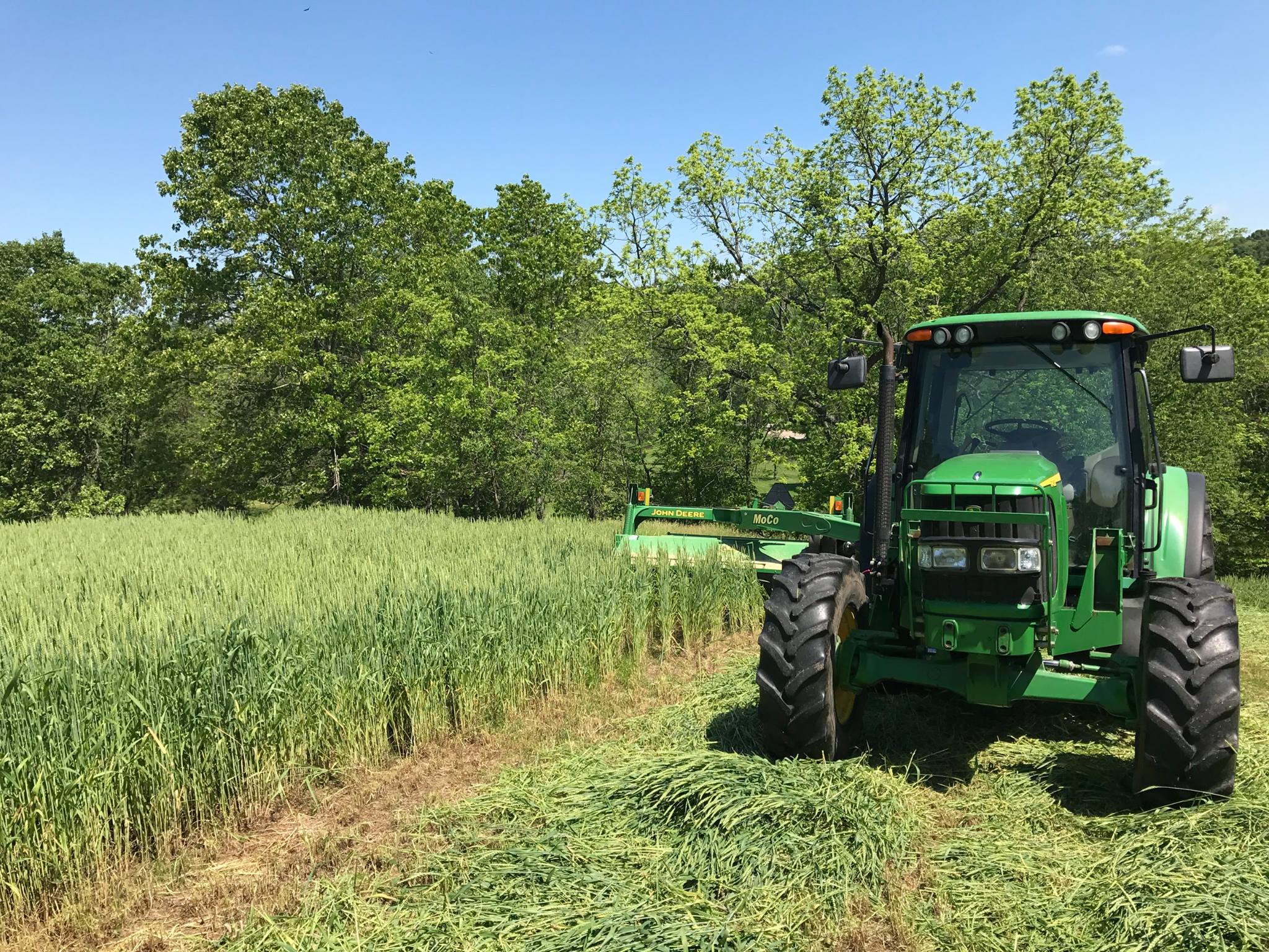 Yoder Farms LLC