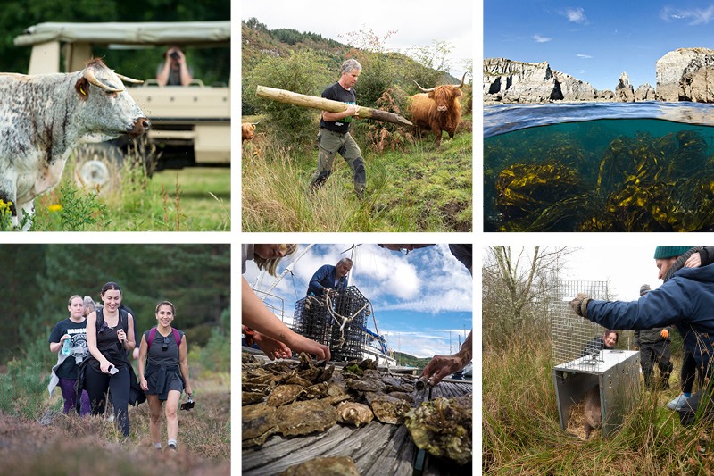 A beautiful, insightful post by our... - Rewilding Europe | Facebook