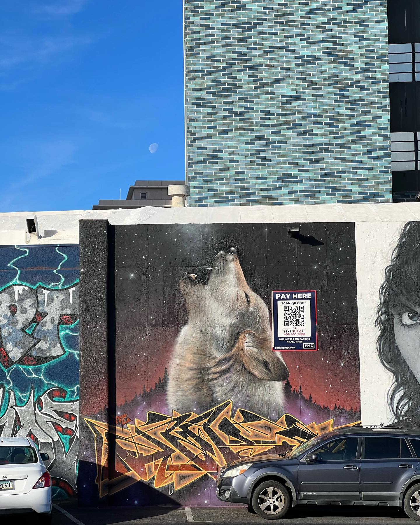 Downtown - We caught the wolf howling at the moon! 🌖🐺 This beautiful ...